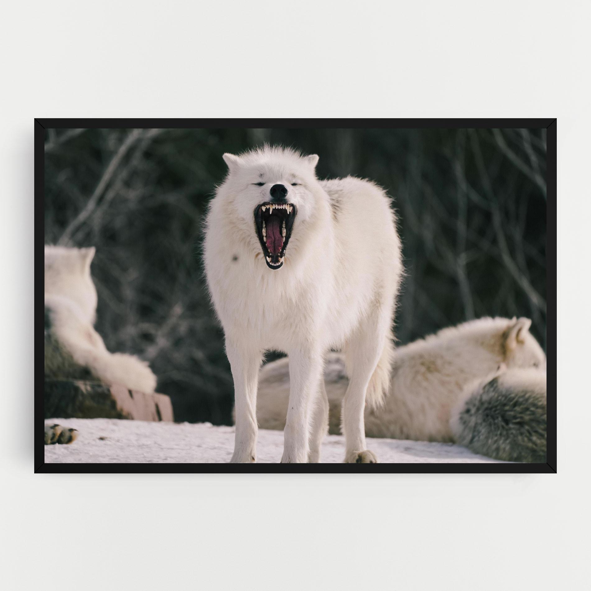 Leinwandbild Laughing White Wolf mockup 0