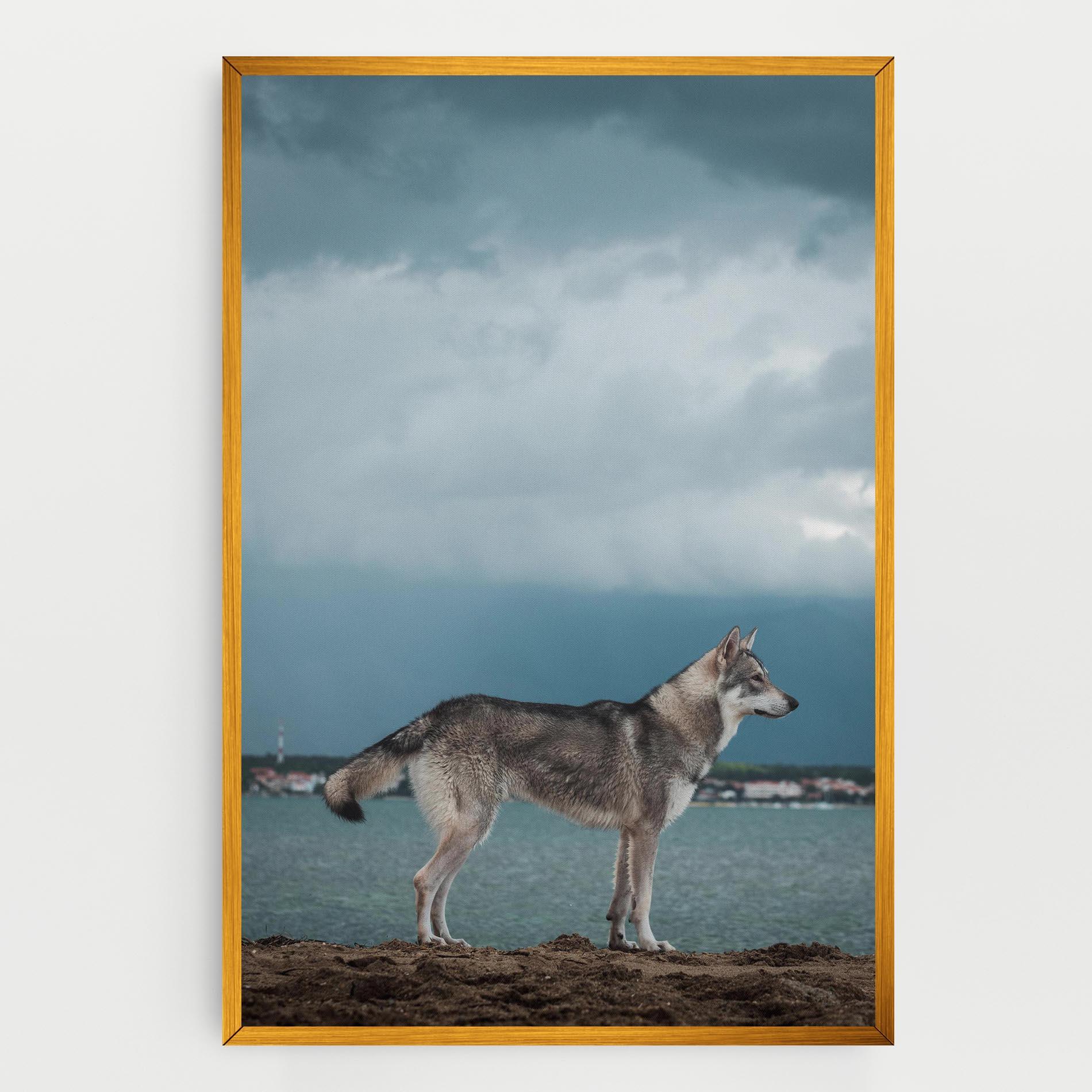 Leinwandbild Grey Wolf Looking mockup 0