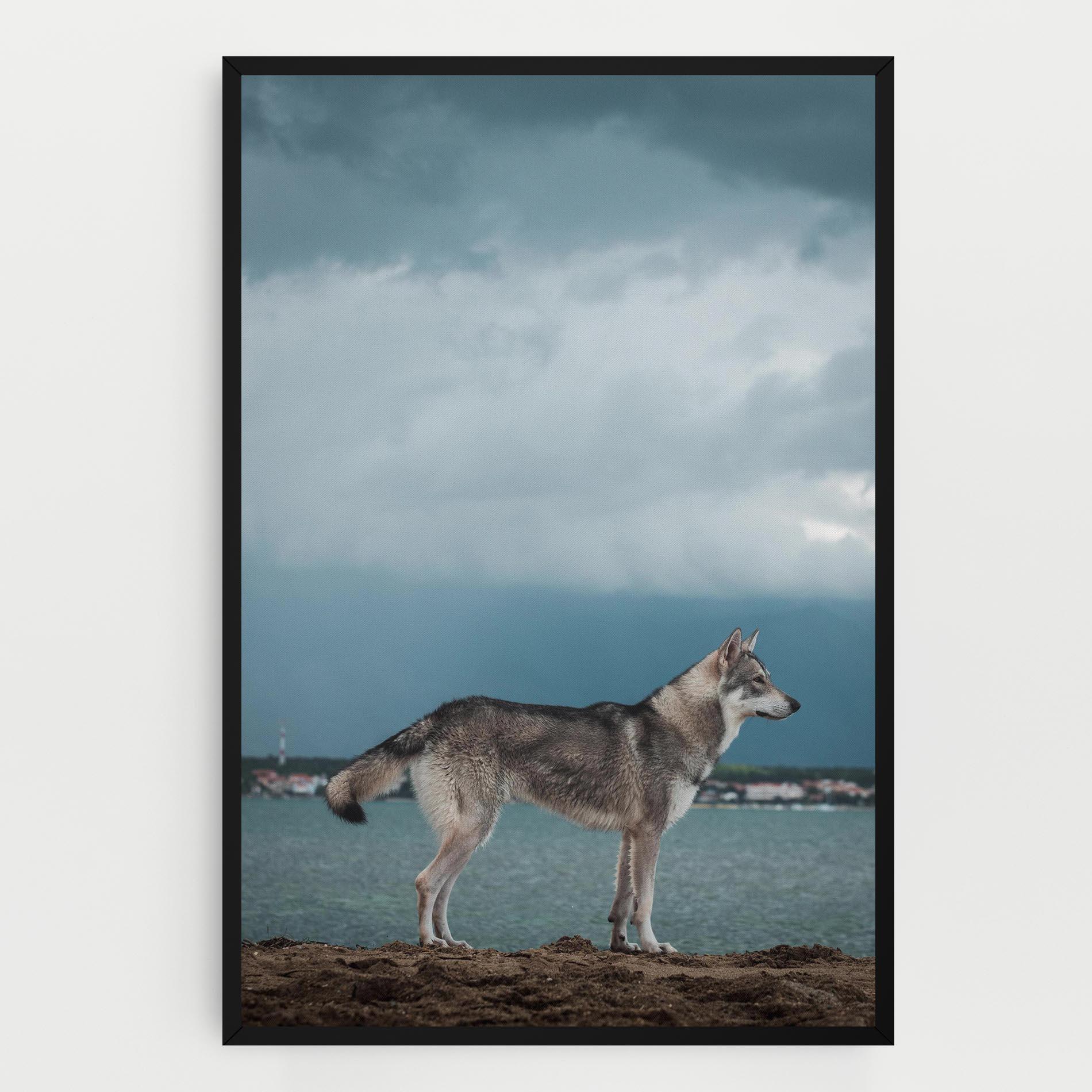 Leinwandbild Grey Wolf Looking mockup 0