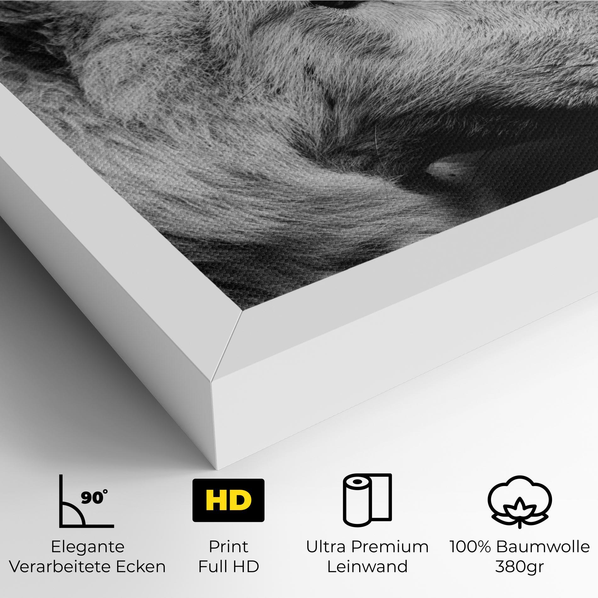 Leinwandbild Grey Wolf mockup 4
