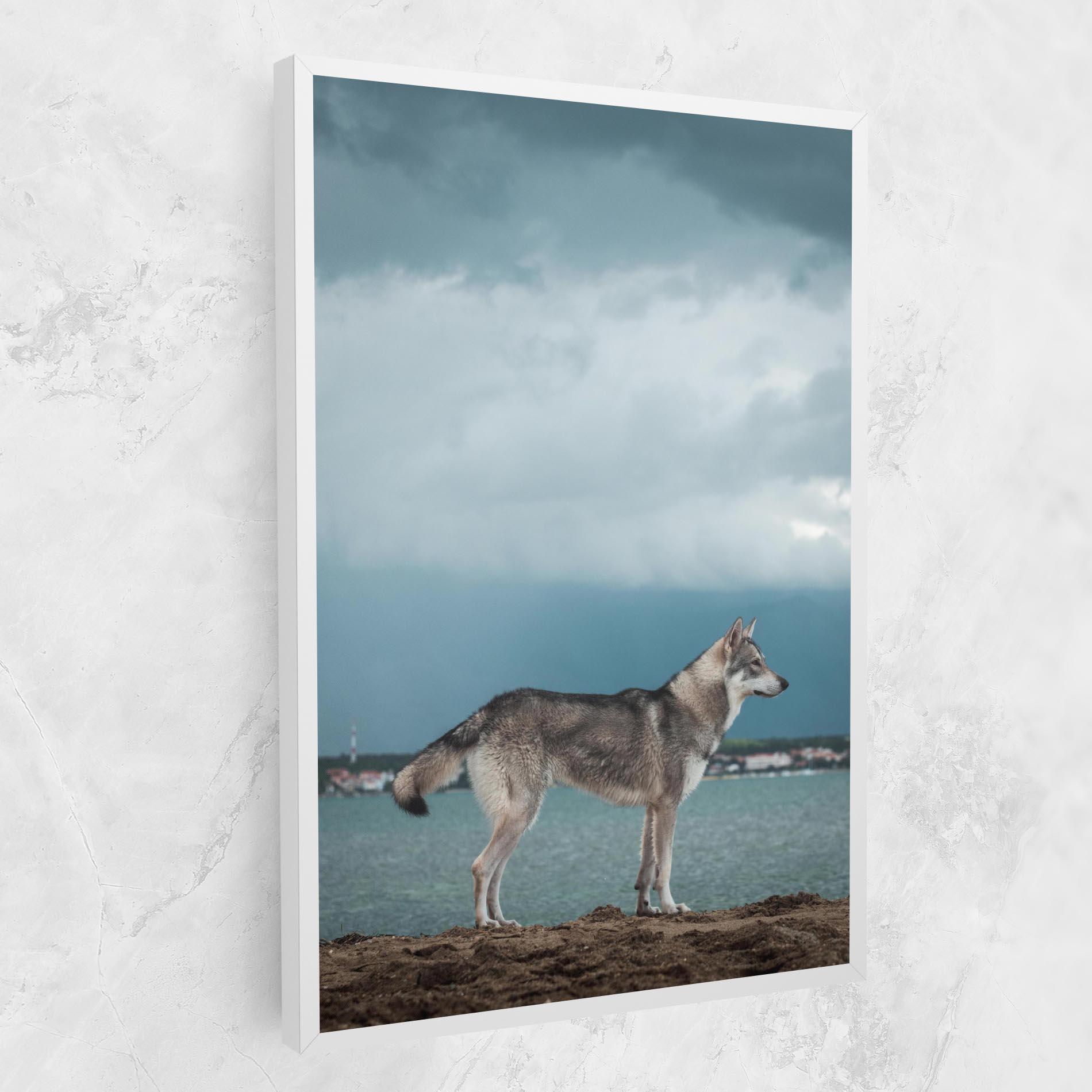 Leinwandbild Grey Wolf Looking mockup 1