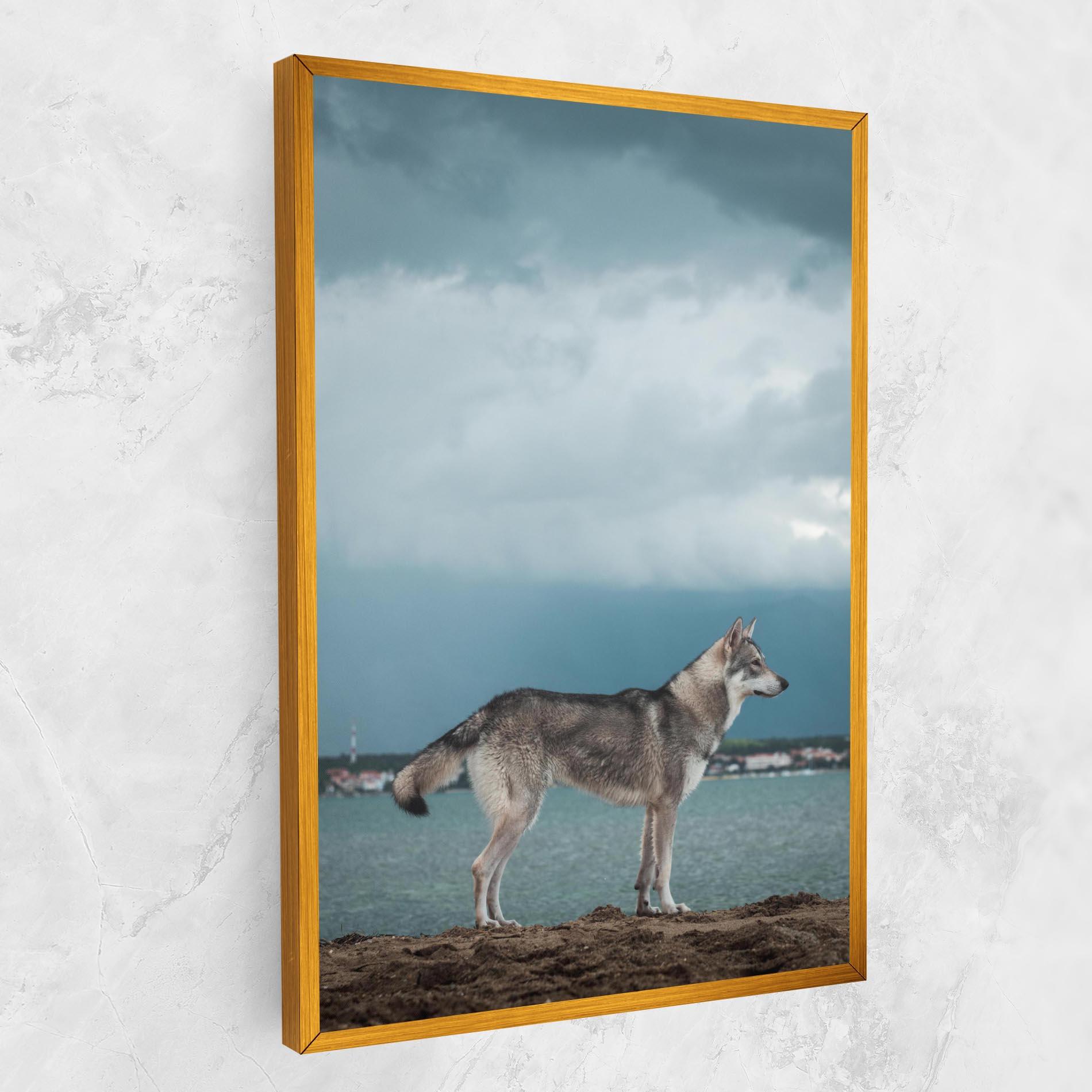 Leinwandbild Grey Wolf Looking mockup 1