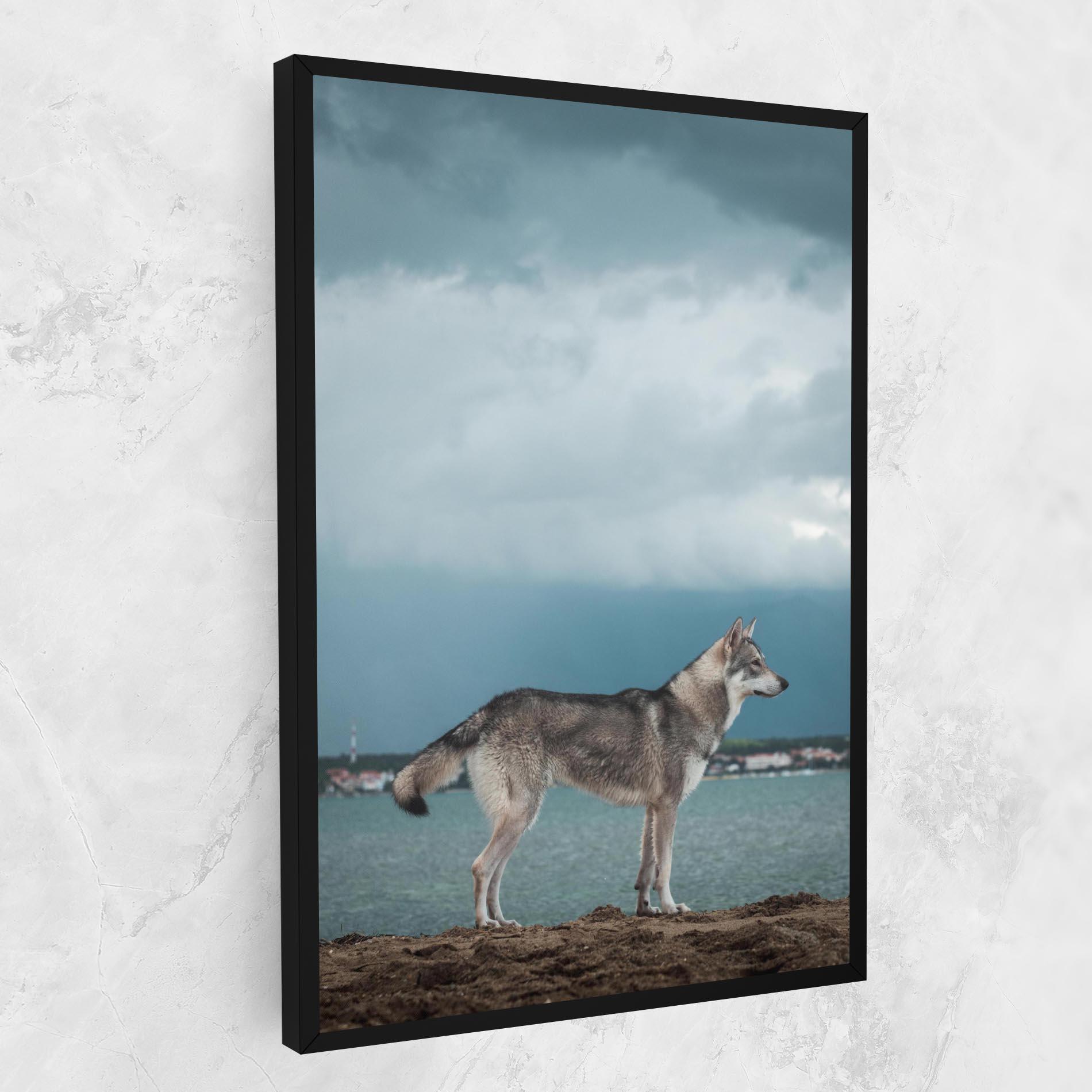 Leinwandbild Grey Wolf Looking mockup 1