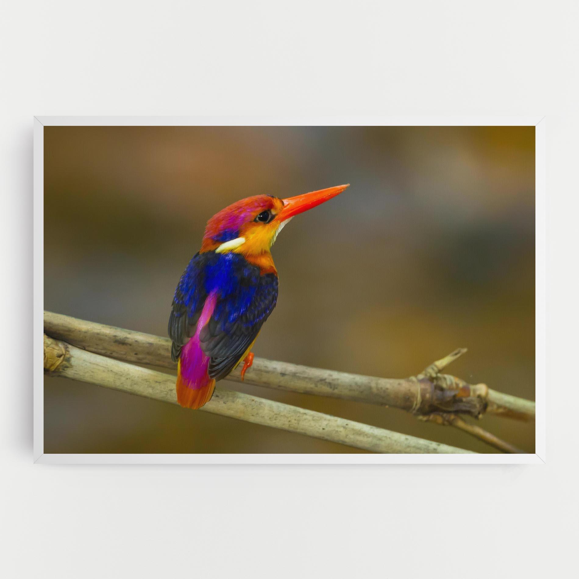 Leinwandbild Colorful Bird mockup 0