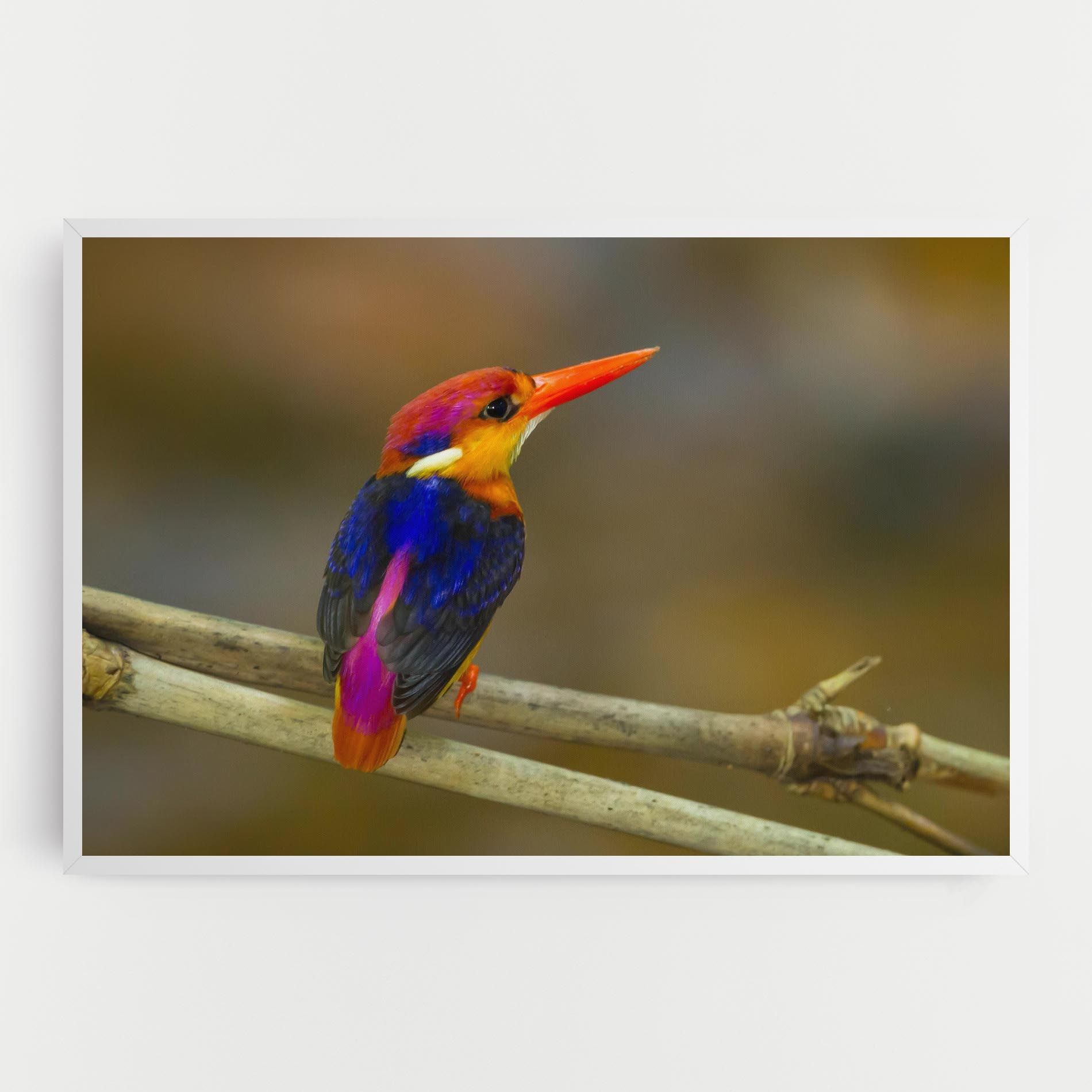 Colorful Bird mockup 0