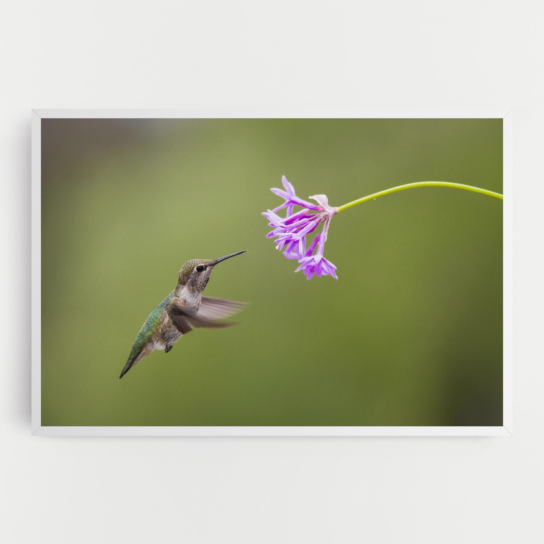 Leinwandbild Cute Hummingbird mockup 0