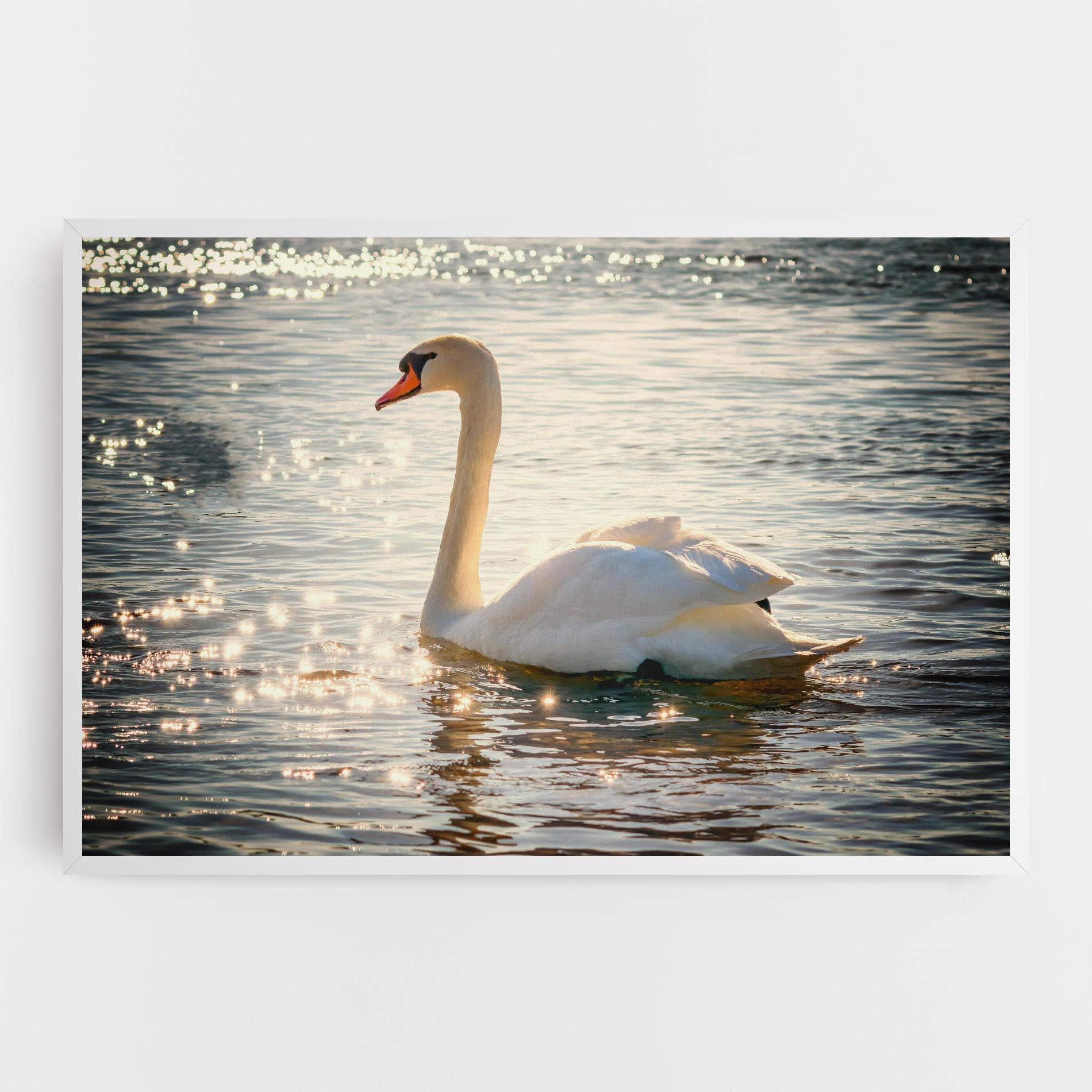 Leinwandbild Swan On Lake mockup 0