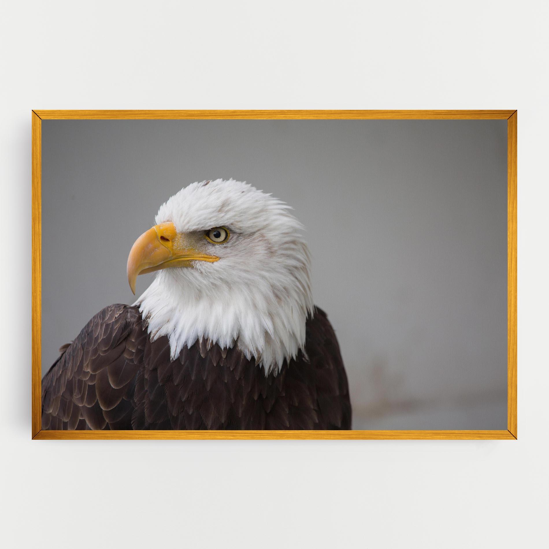 Leinwandbild Beautiful Eagle mockup 0