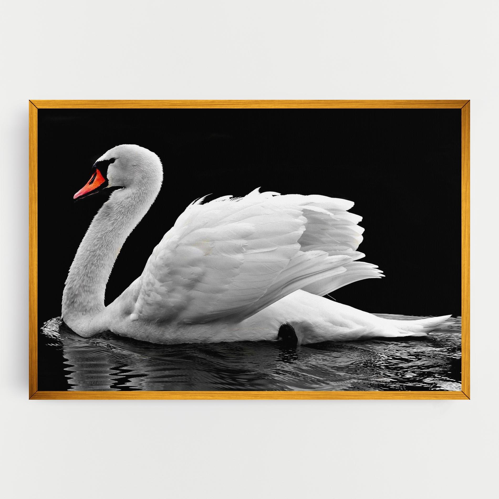 Leinwandbild Black And White Swan mockup 0