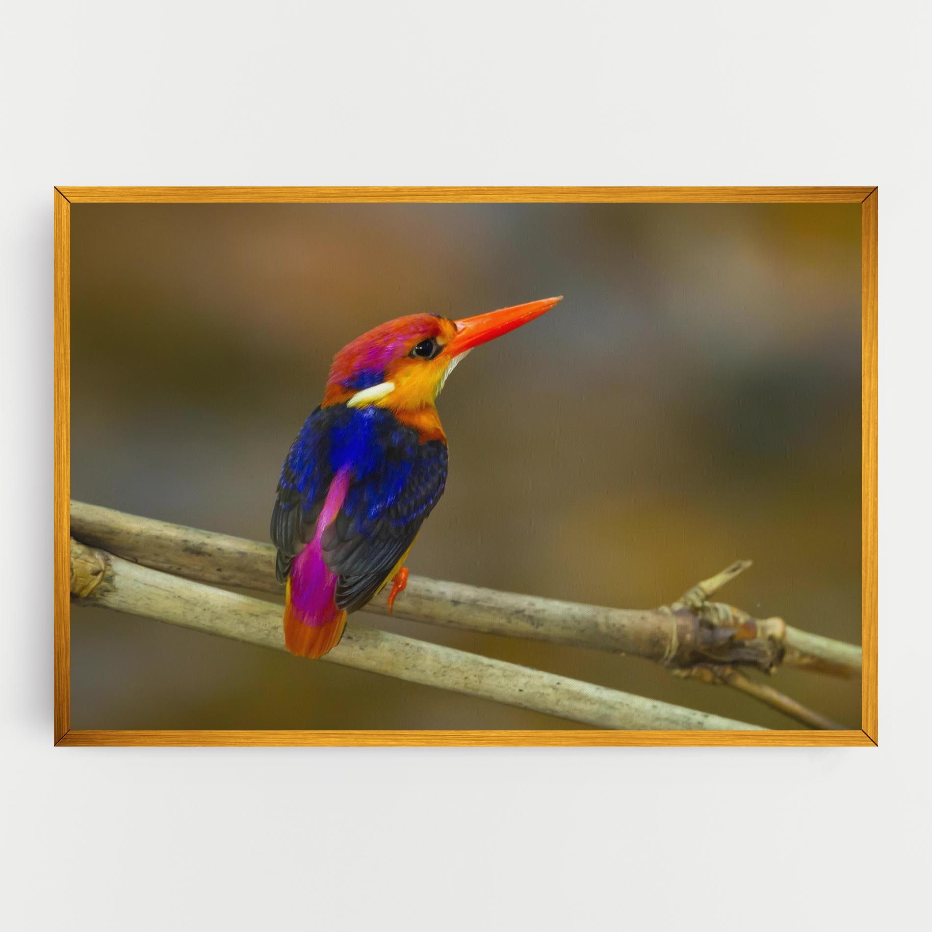 Colorful Bird mockup 0
