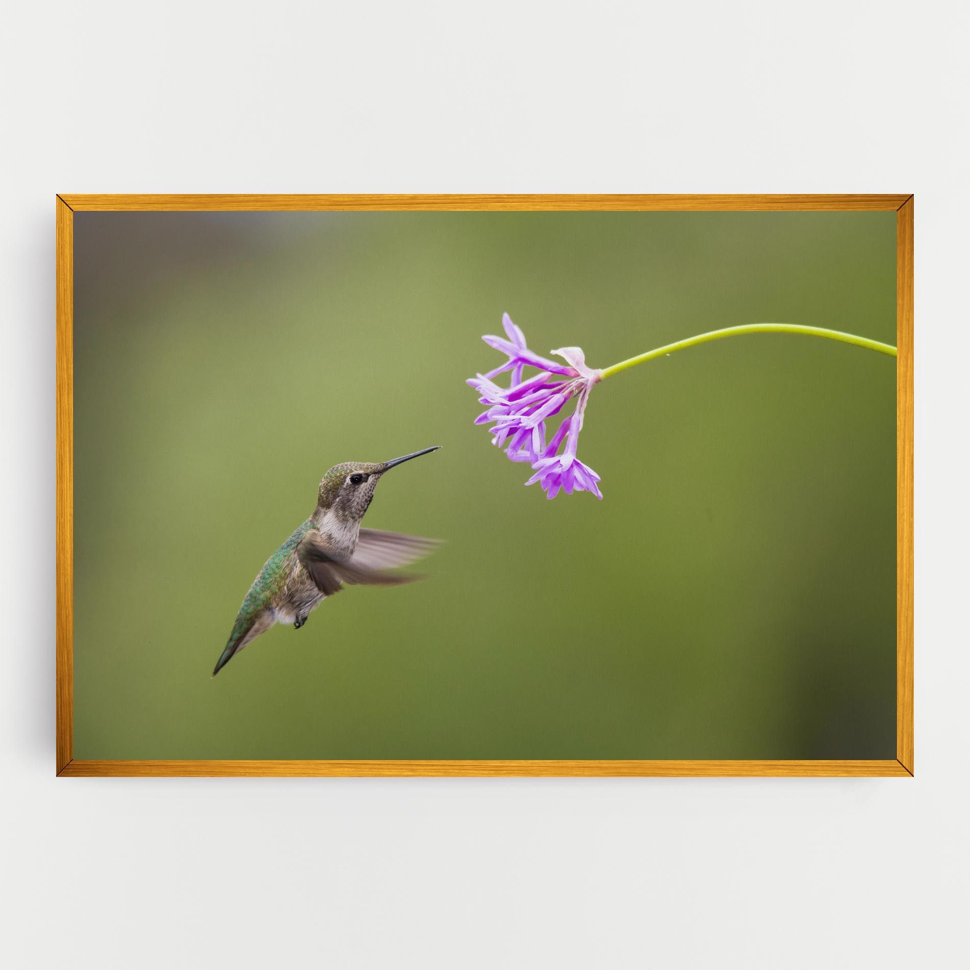 Cute Hummingbird mockup 0