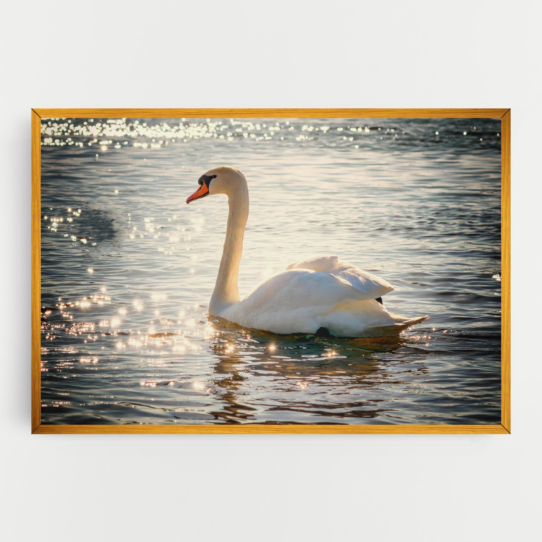Leinwandbild Swan On Lake mockup 0