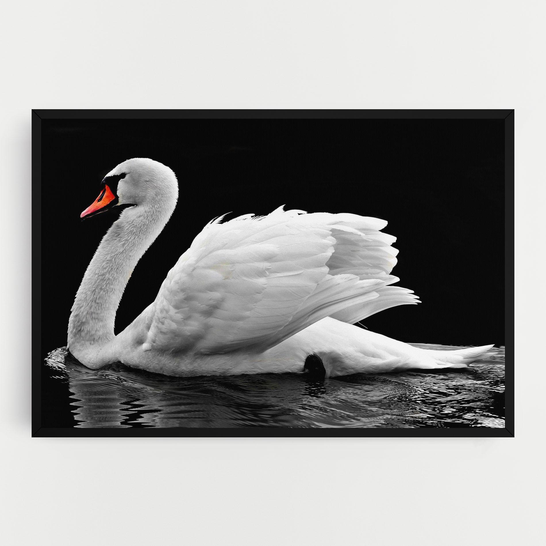 Leinwandbild Black And White Swan mockup 0