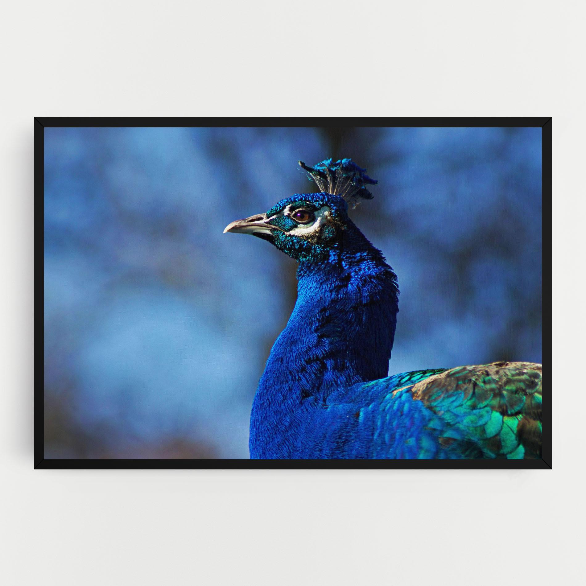 Leinwandbild Blue Bird mockup 0