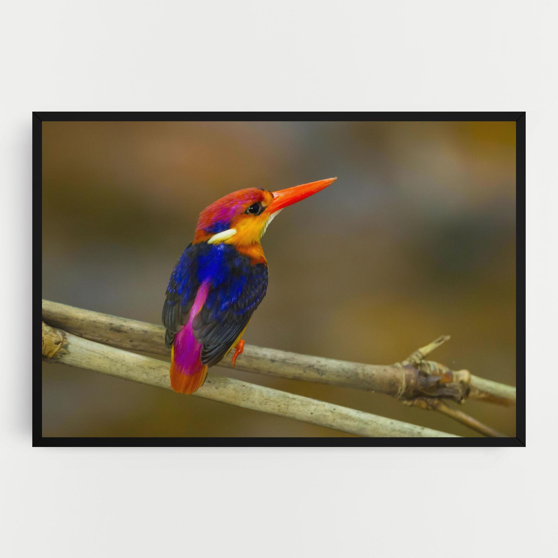 Leinwandbild Colorful Bird mockup 0