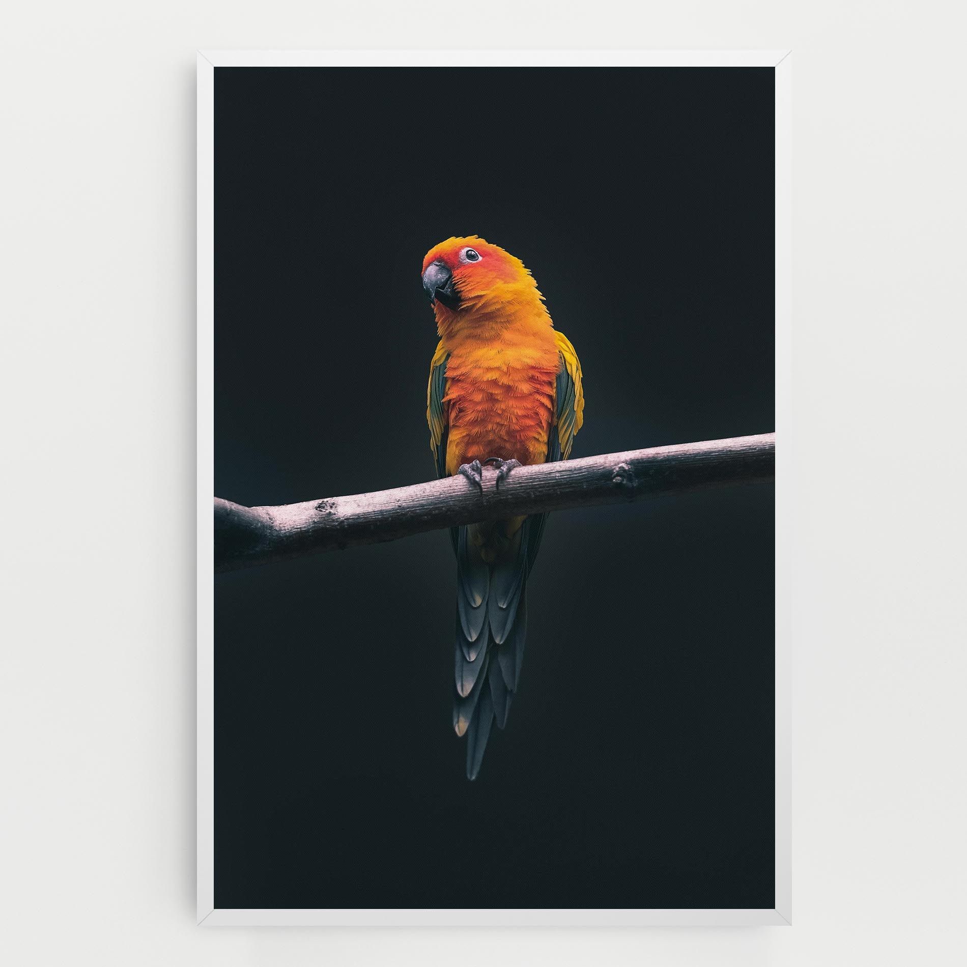 Fire Parrot mockup 0