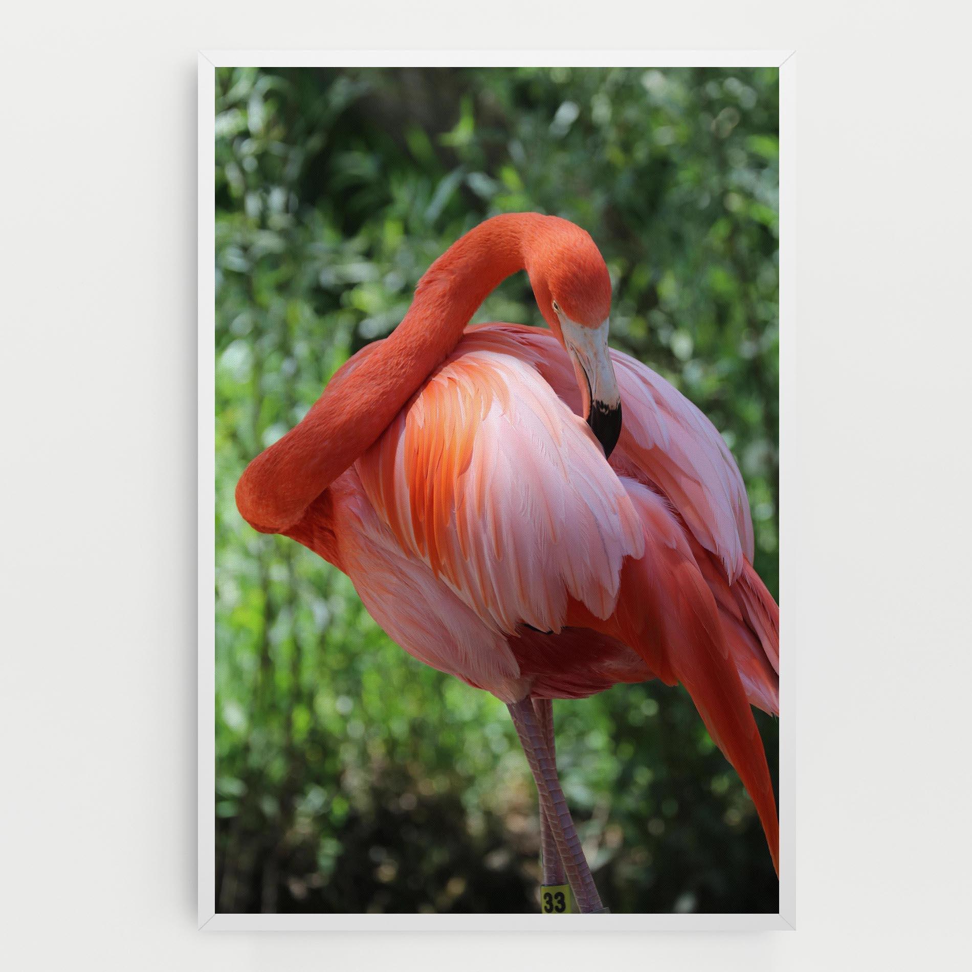 Leinwandbild Red Flamingo mockup 0