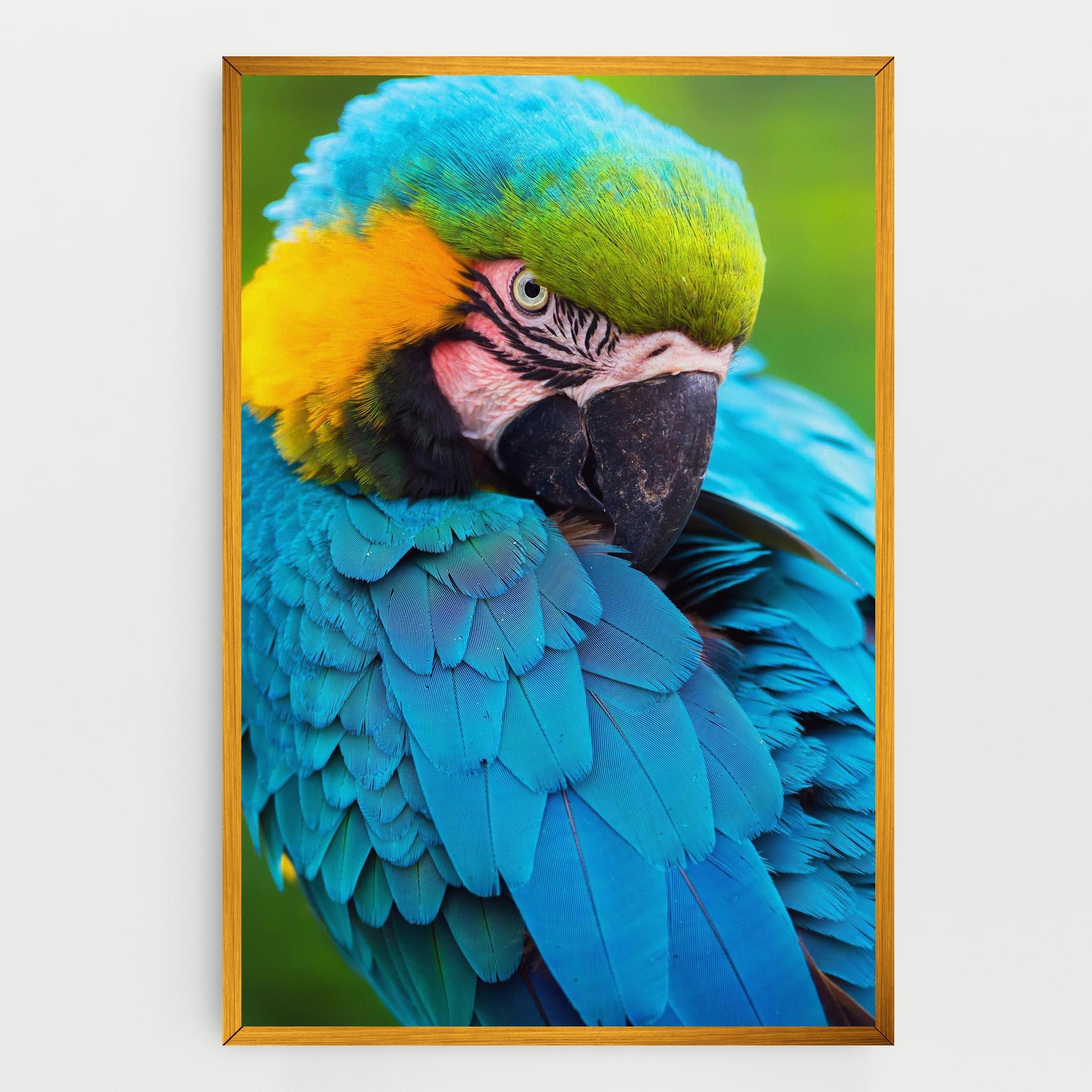 Leinwandbild Blue Parrot mockup 0