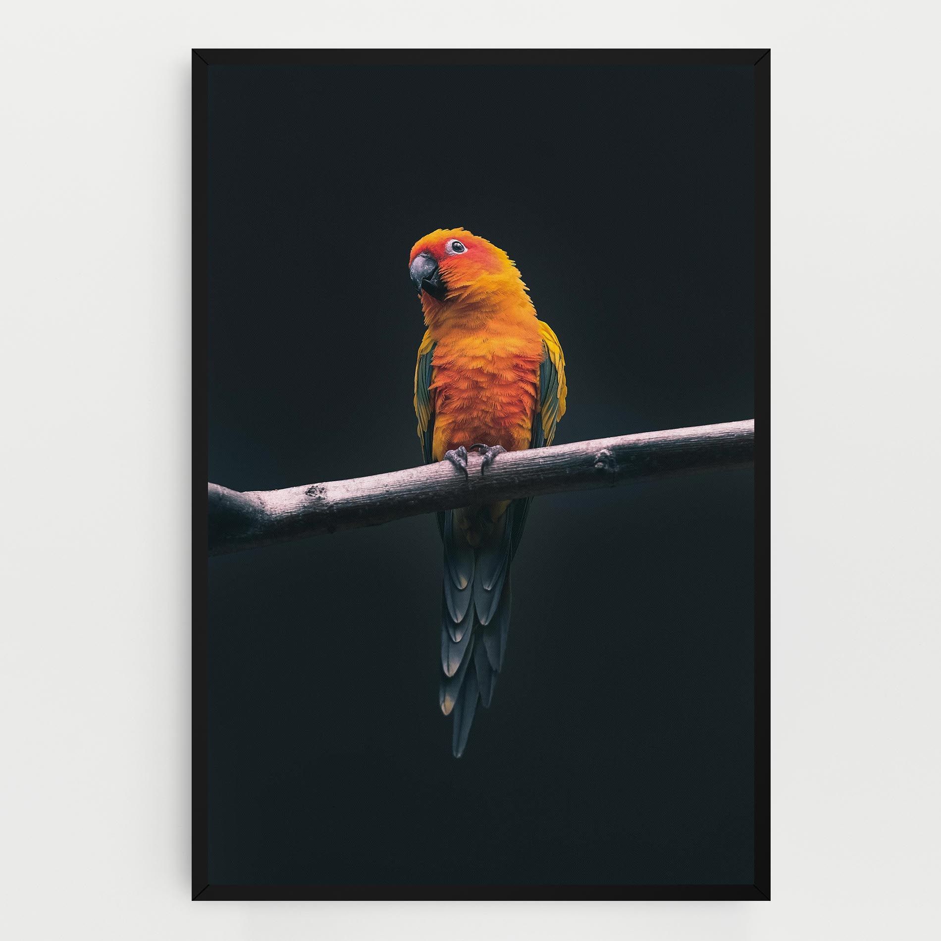 Fire Parrot mockup 0
