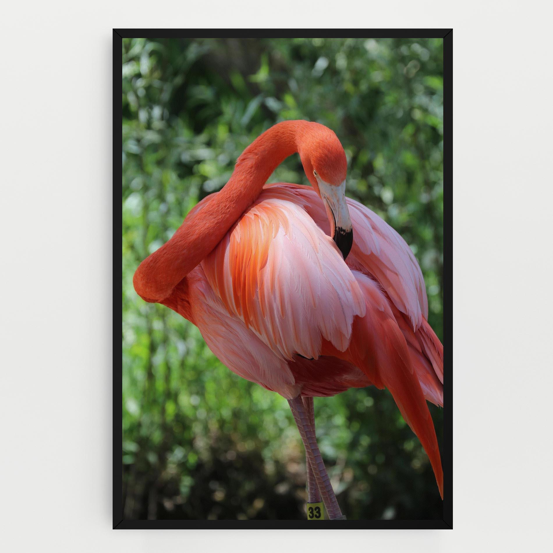 Leinwandbild Red Flamingo mockup 0
