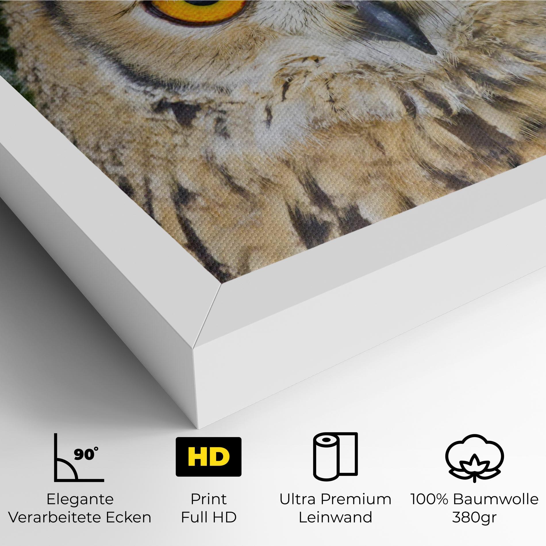Leinwandbild Angry Owl mockup 4