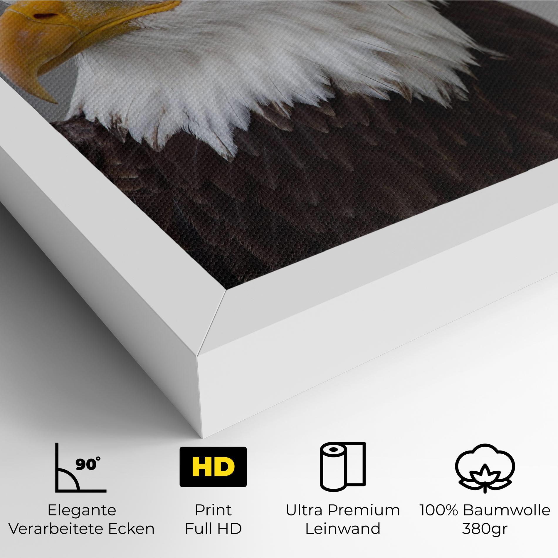 Leinwandbild Beautiful Eagle mockup 4