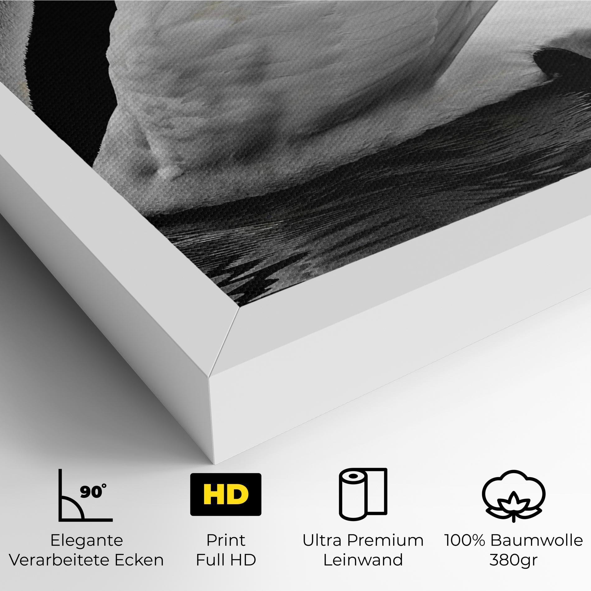Leinwandbild Black And White Swan mockup 4