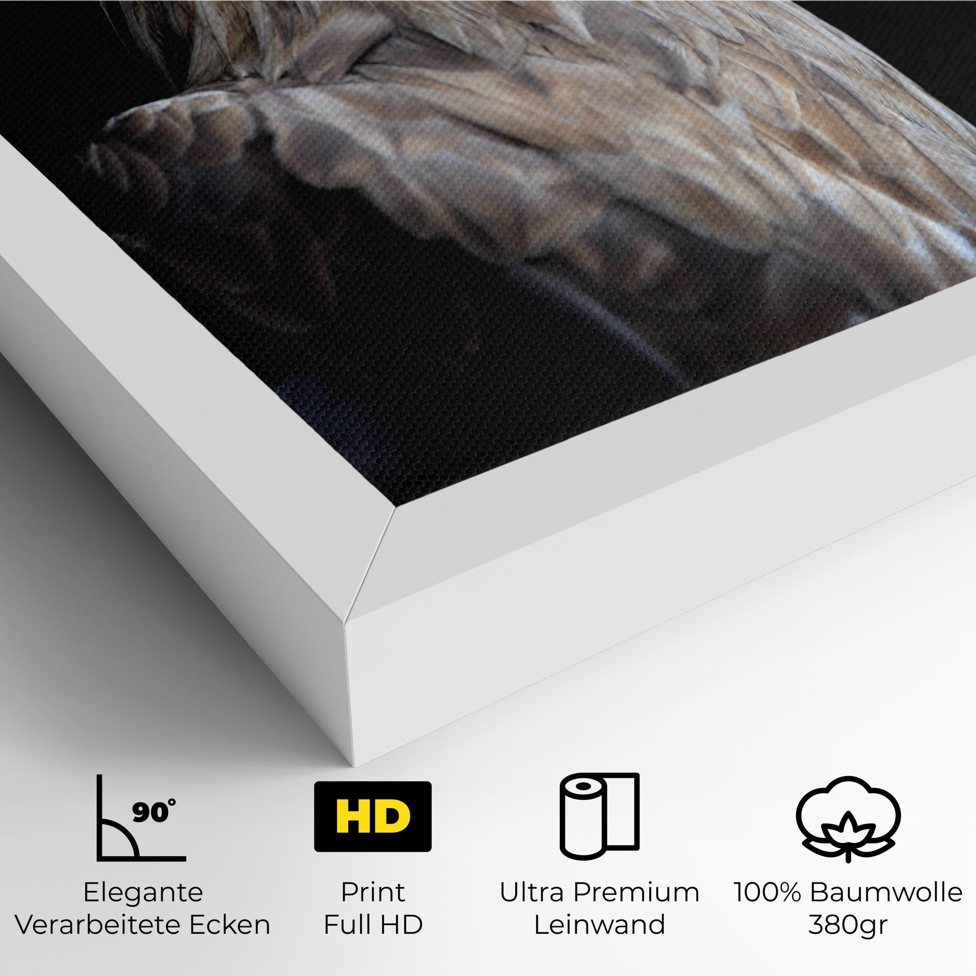 Leinwandbild Close Up Eagle mockup 4