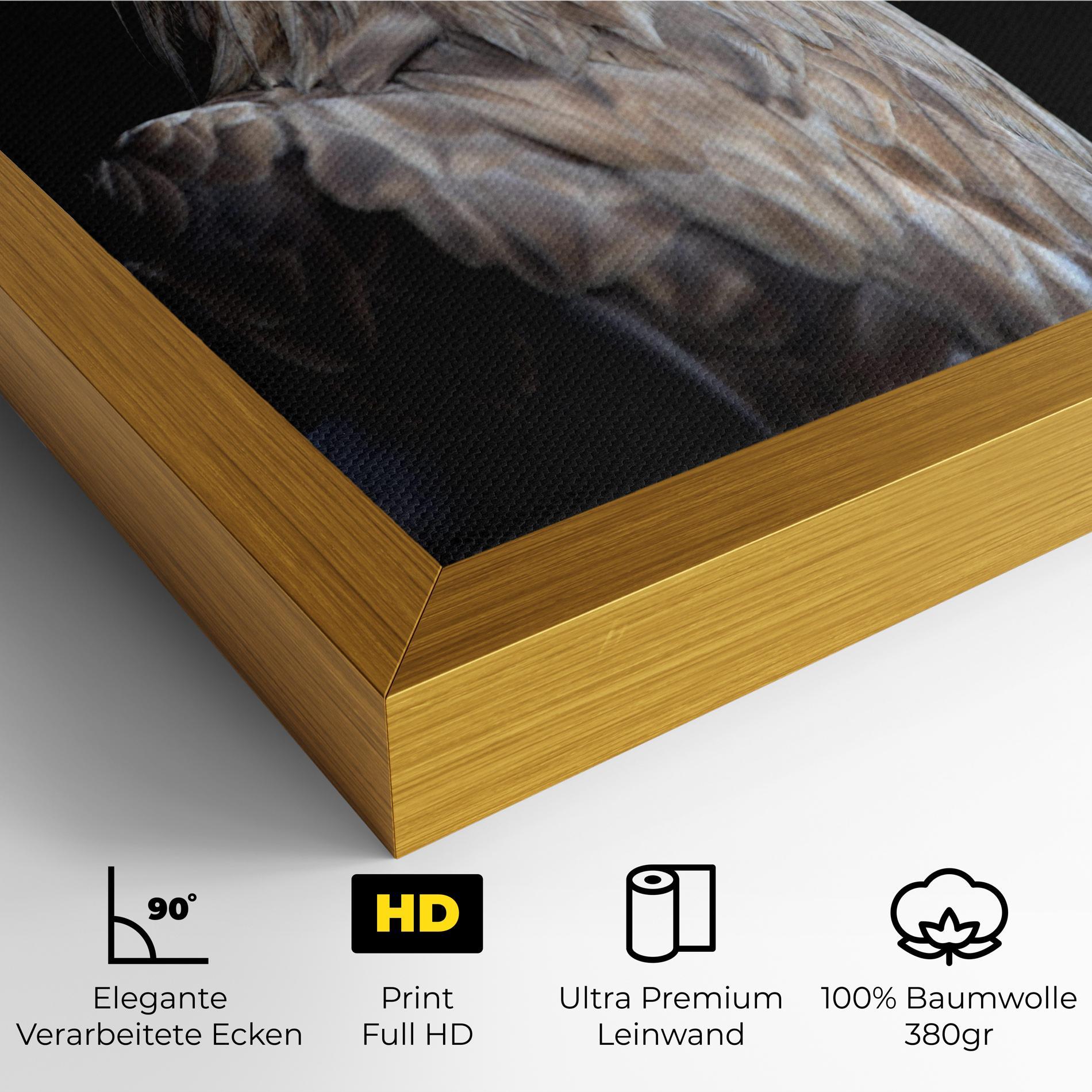 Leinwandbild Close Up Eagle mockup 4