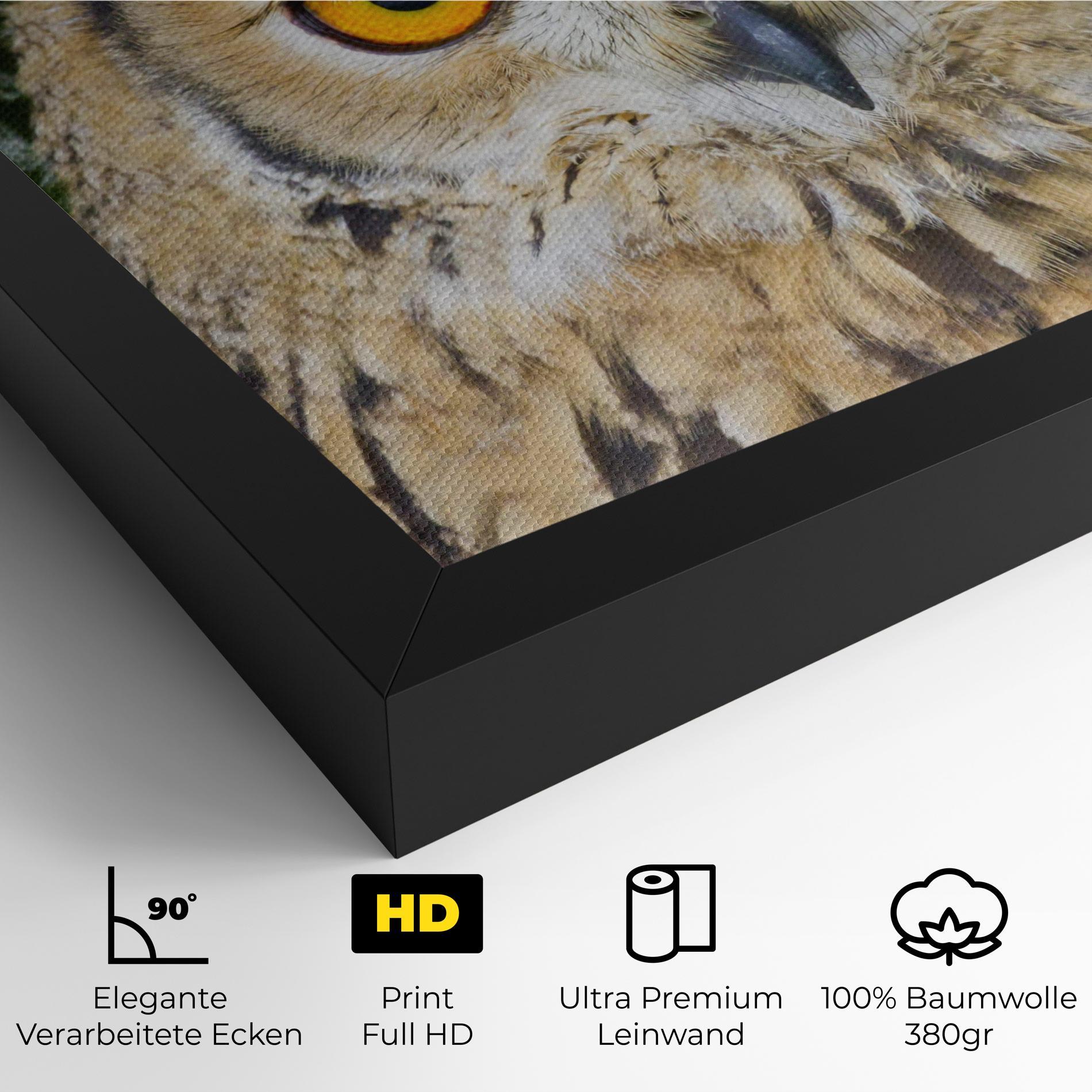 Leinwandbild Angry Owl mockup 4