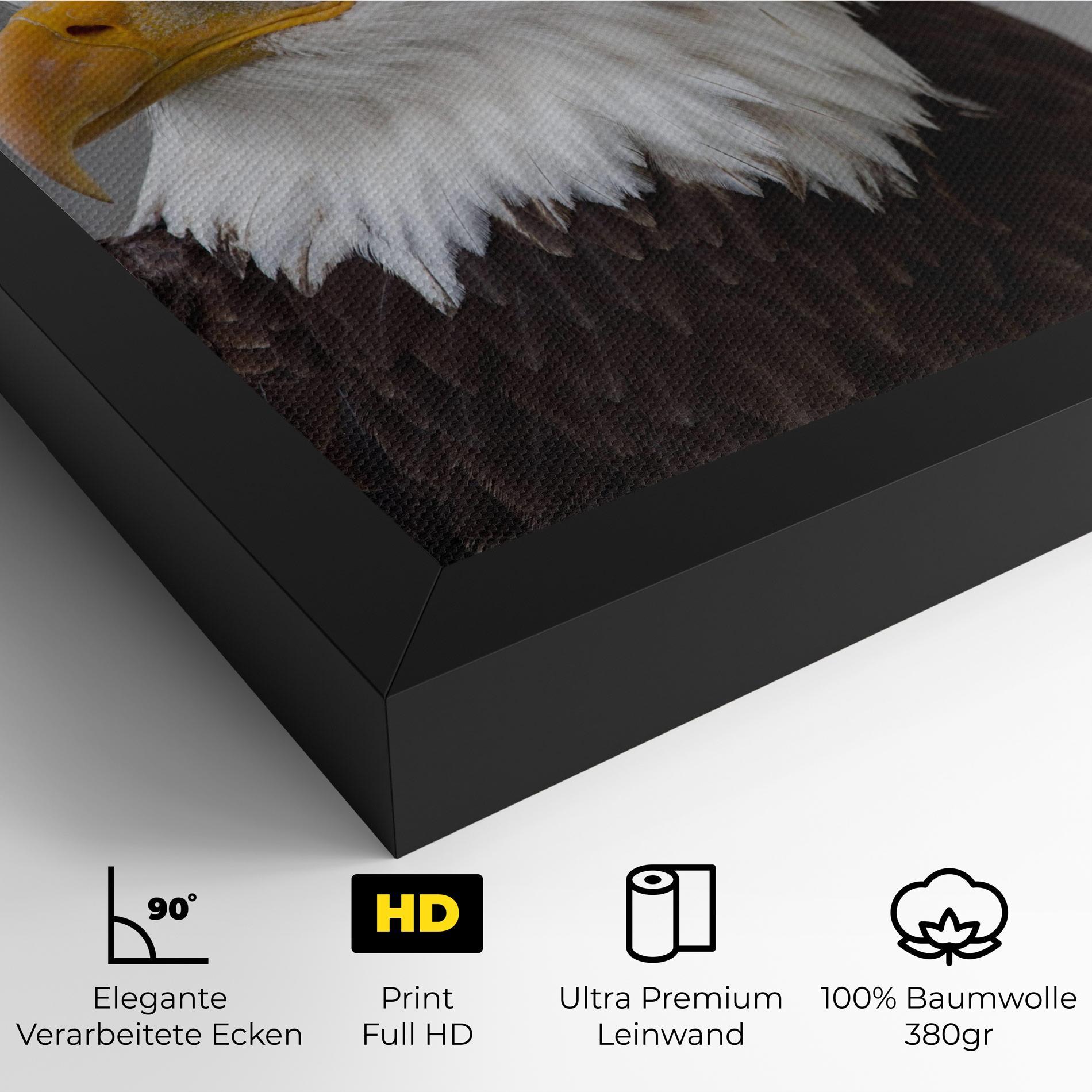 Leinwandbild Beautiful Eagle mockup 4