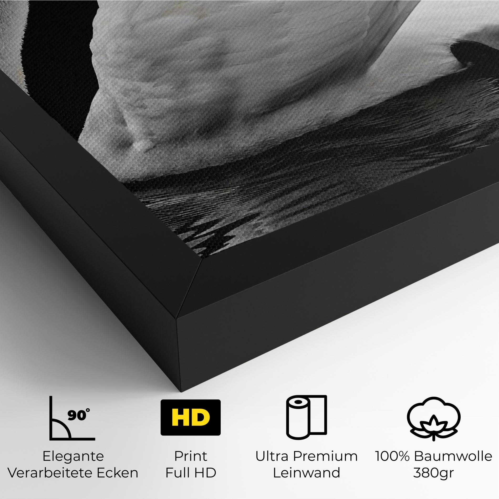 Leinwandbild Black And White Swan mockup 4