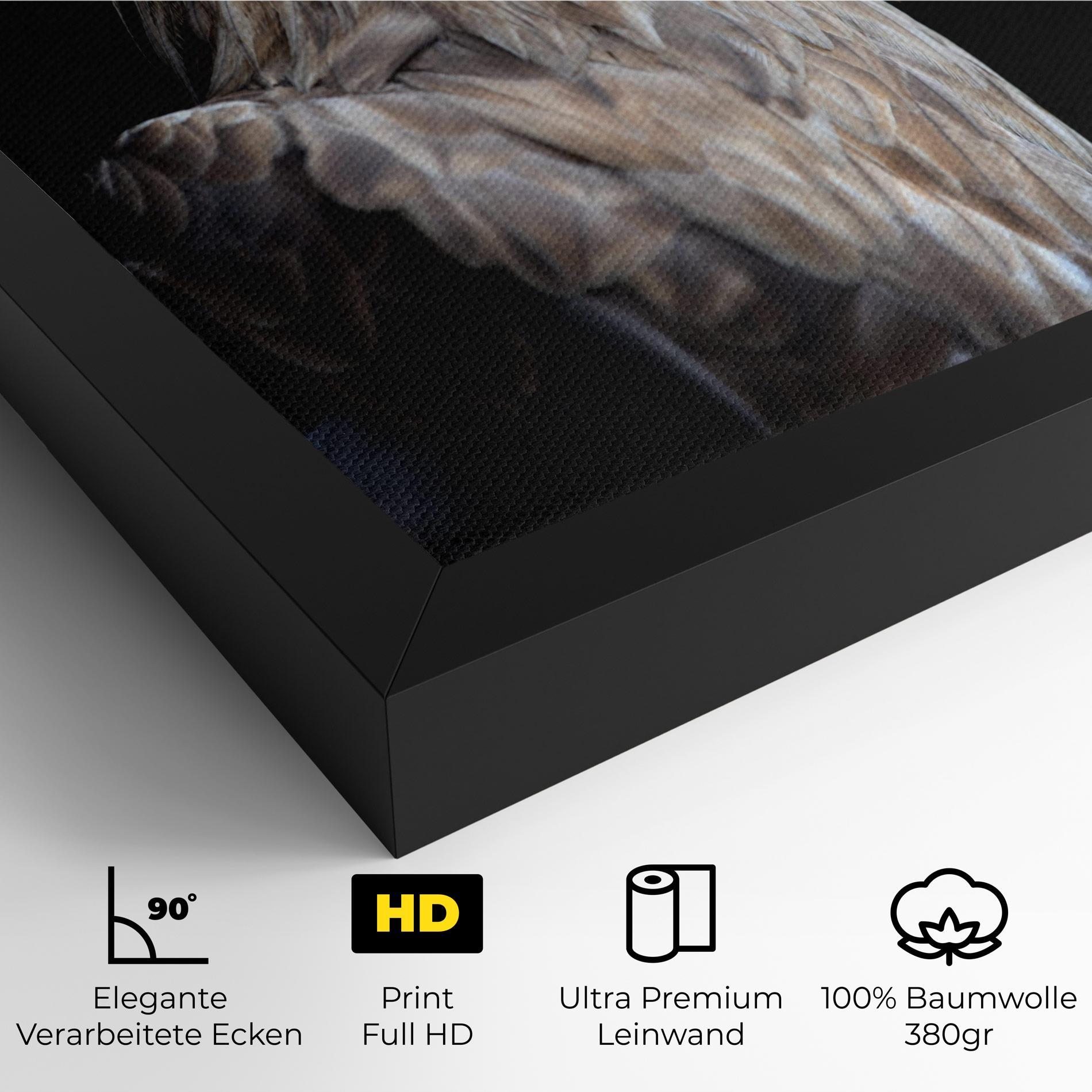 Leinwandbild Close Up Eagle mockup 4