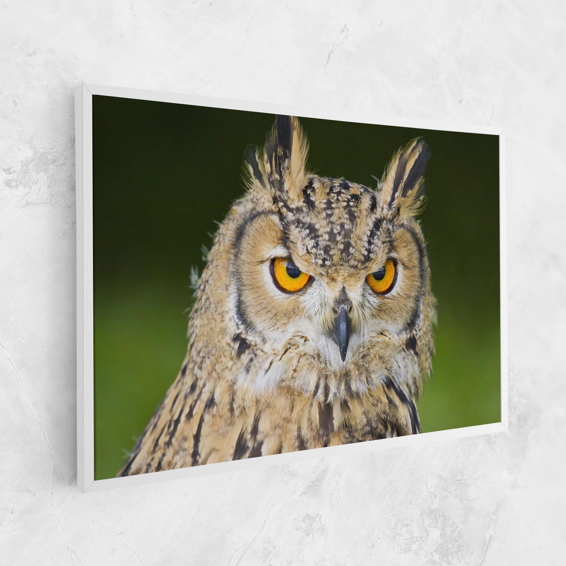 Leinwandbild Angry Owl mockup 1