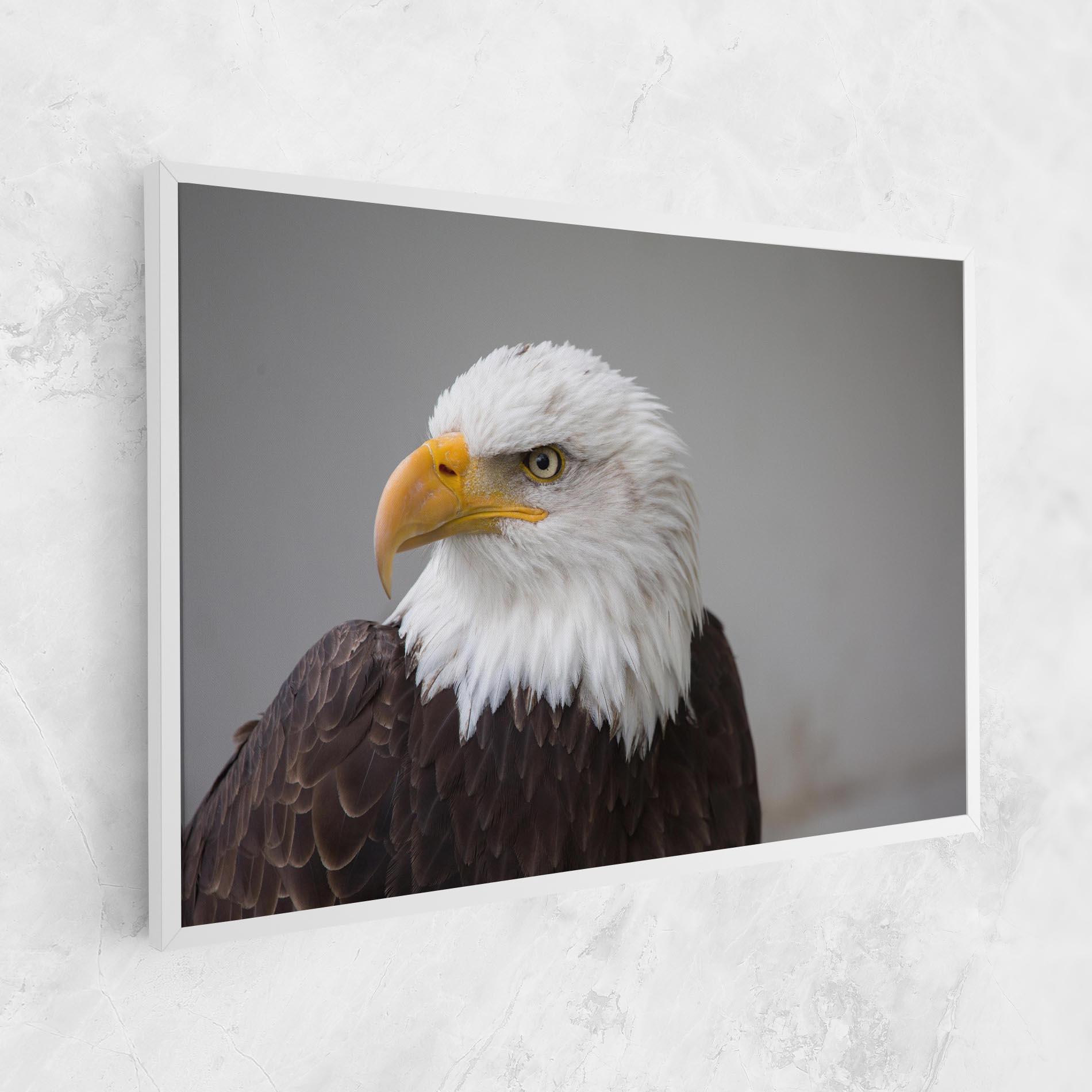 Leinwandbild Beautiful Eagle mockup 1