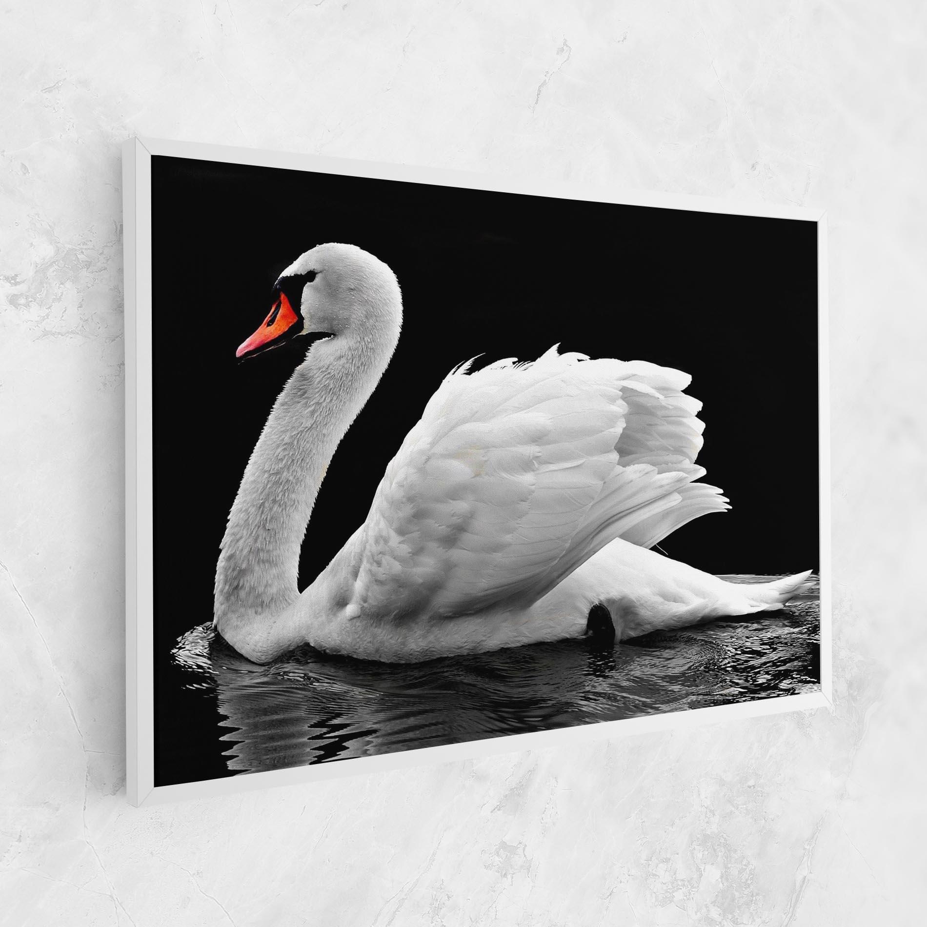 Leinwandbild Black And White Swan mockup 1