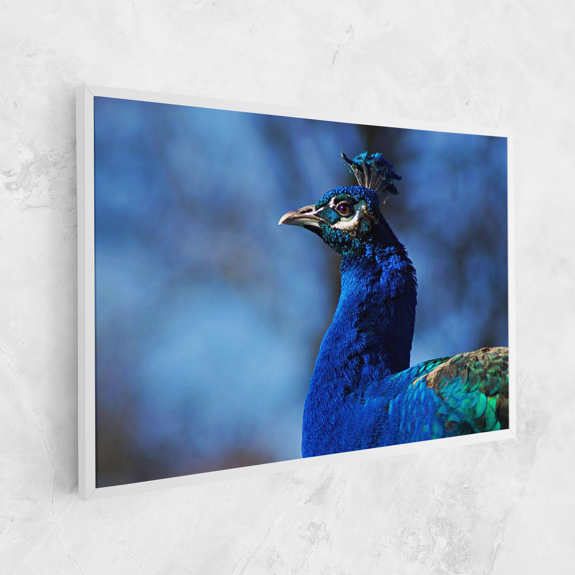 Leinwandbild Blue Bird mockup 1