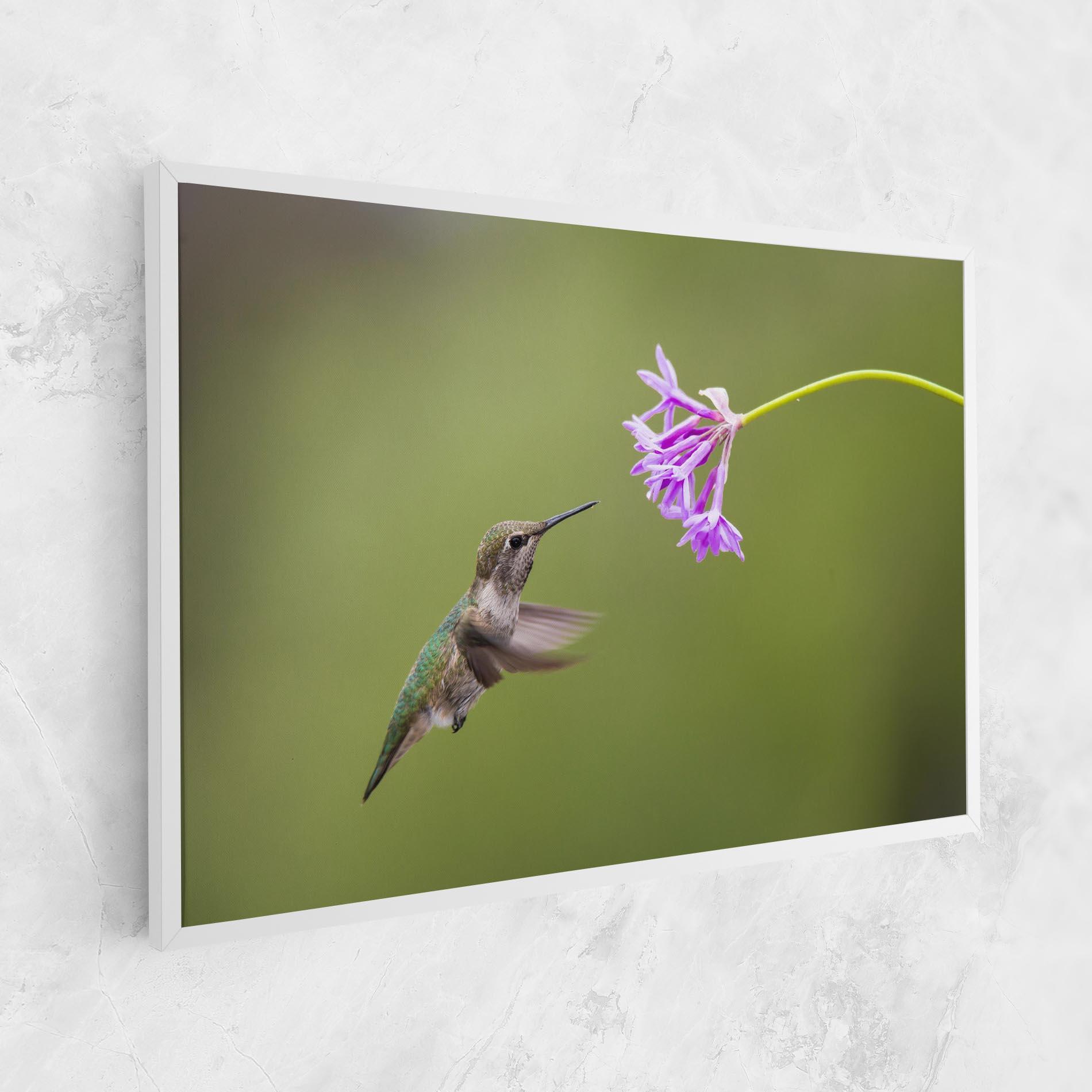 Leinwandbild Cute Hummingbird mockup 1