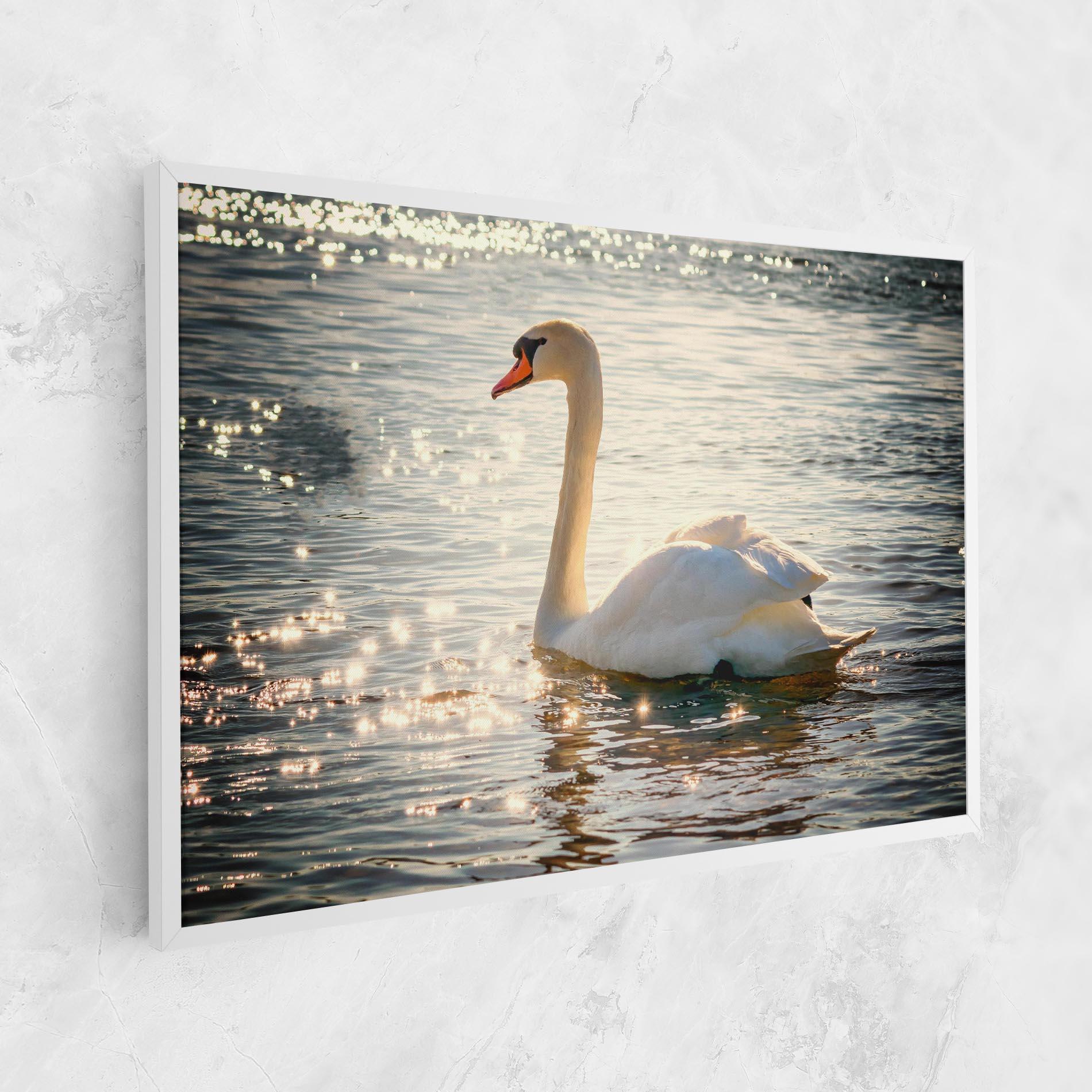 Leinwandbild Swan On Lake mockup 1
