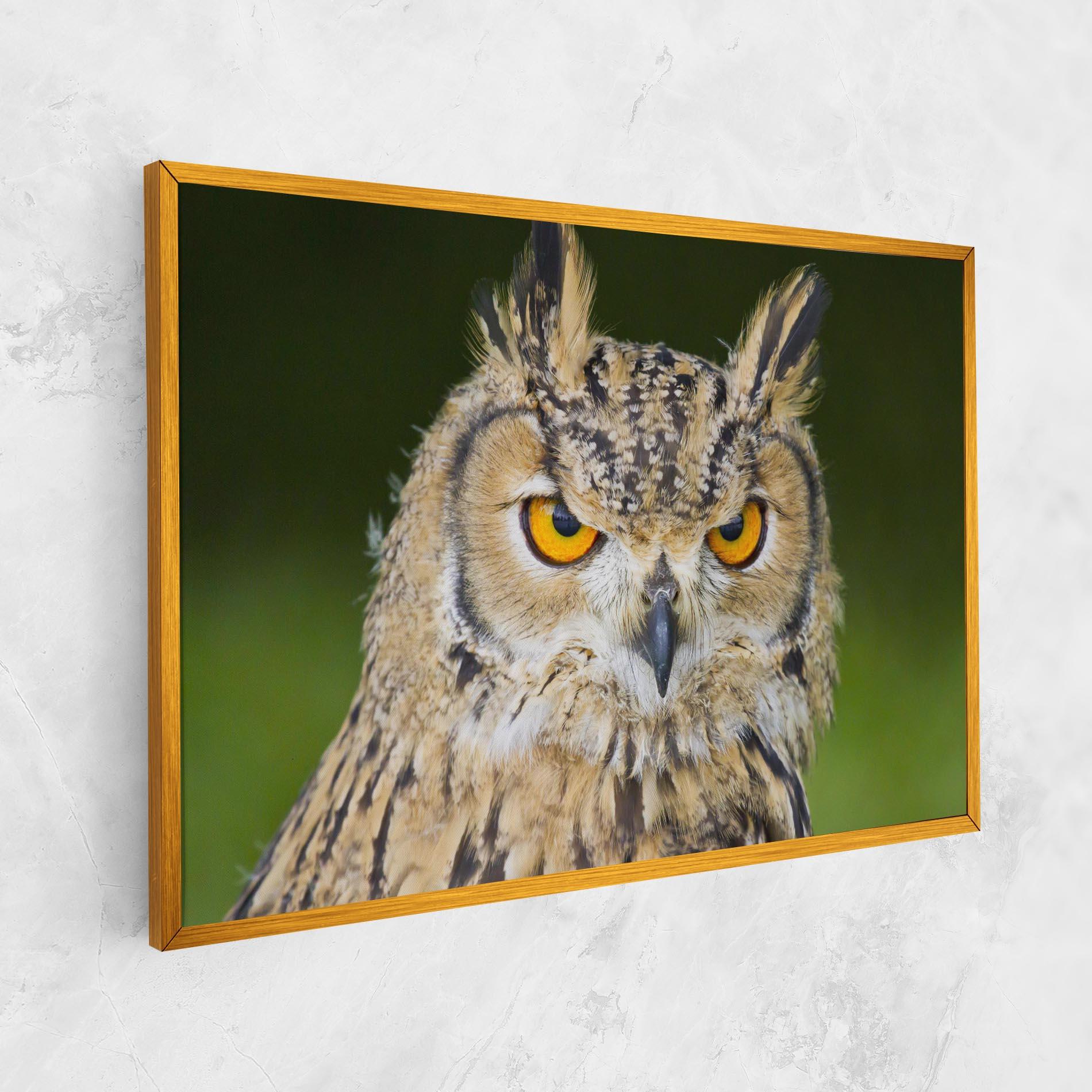 Leinwandbild Angry Owl mockup 1