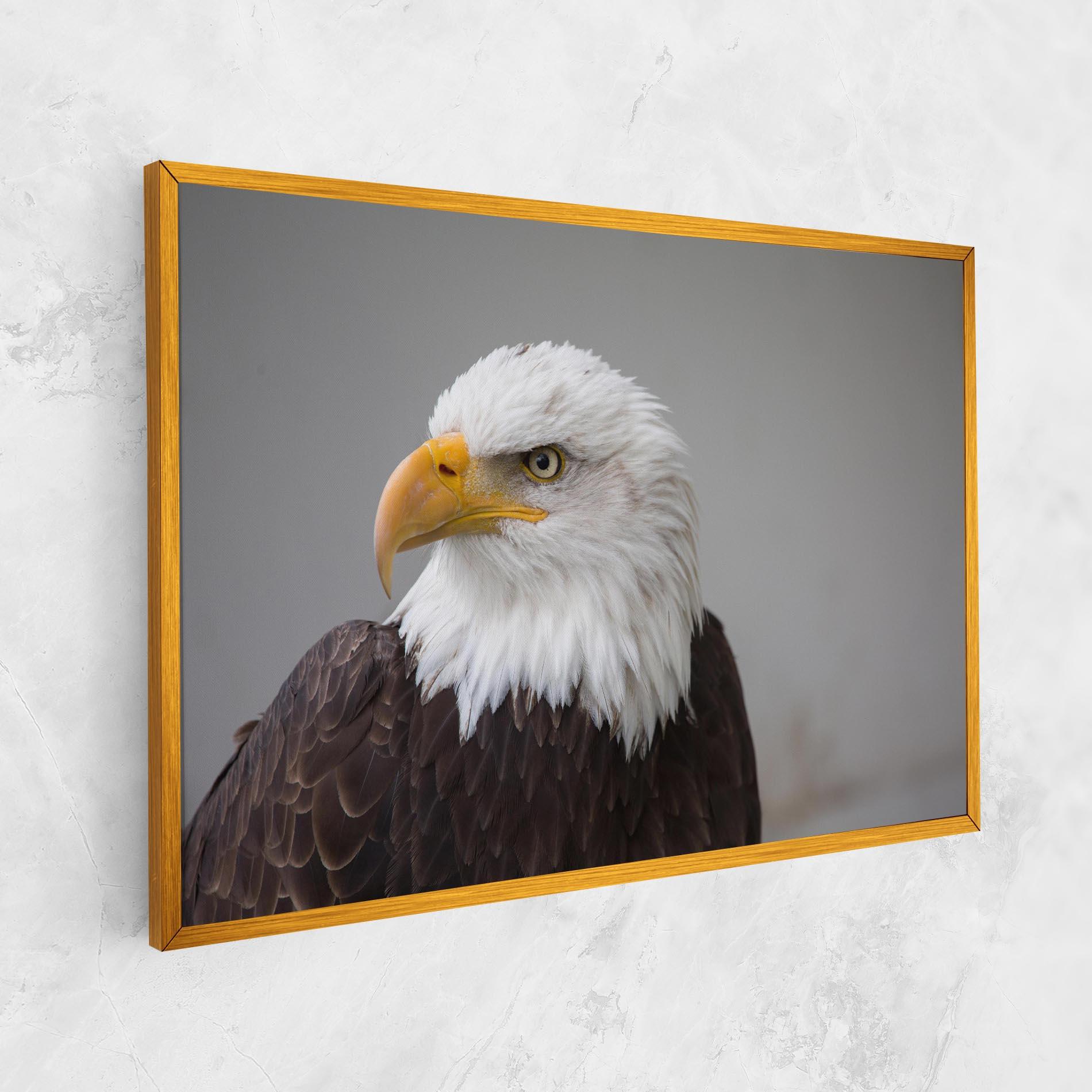 Leinwandbild Beautiful Eagle mockup 1