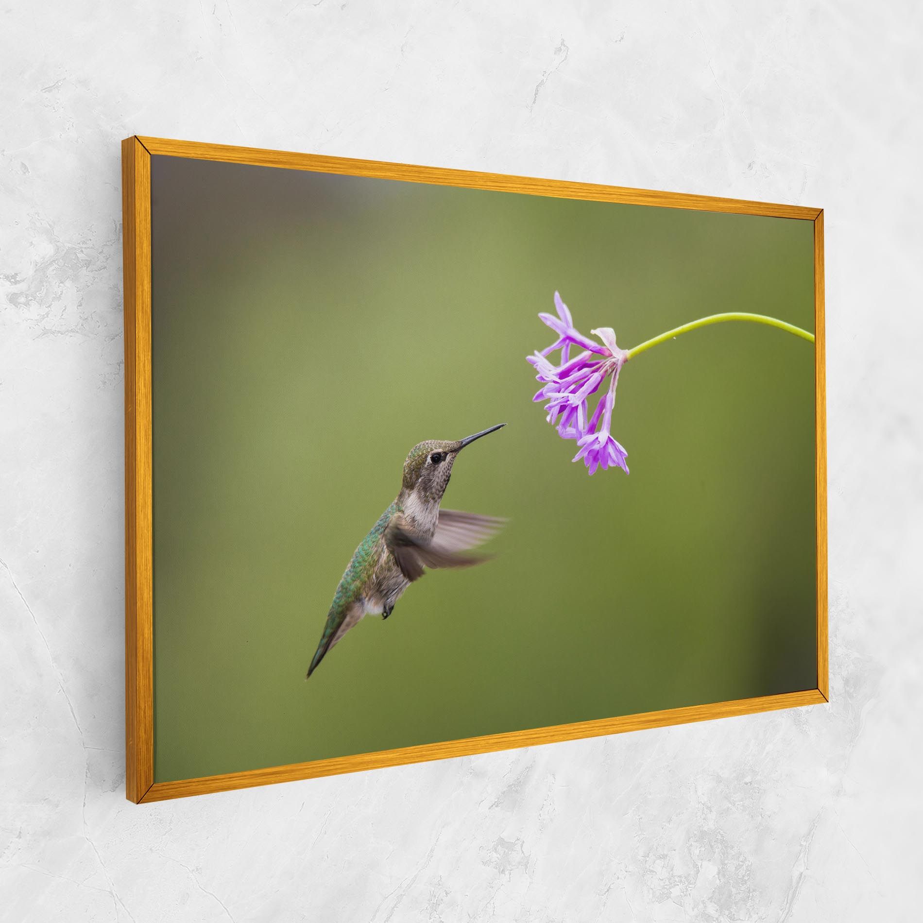 Cute Hummingbird mockup 1