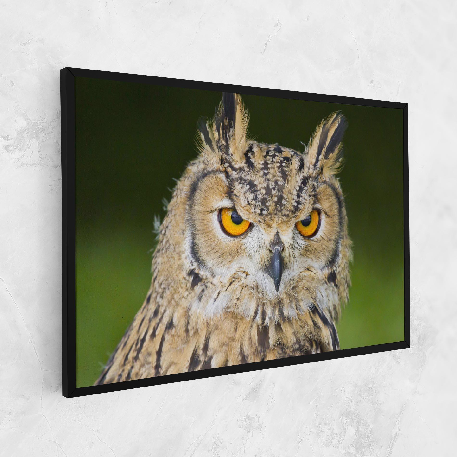Leinwandbild Angry Owl mockup 1