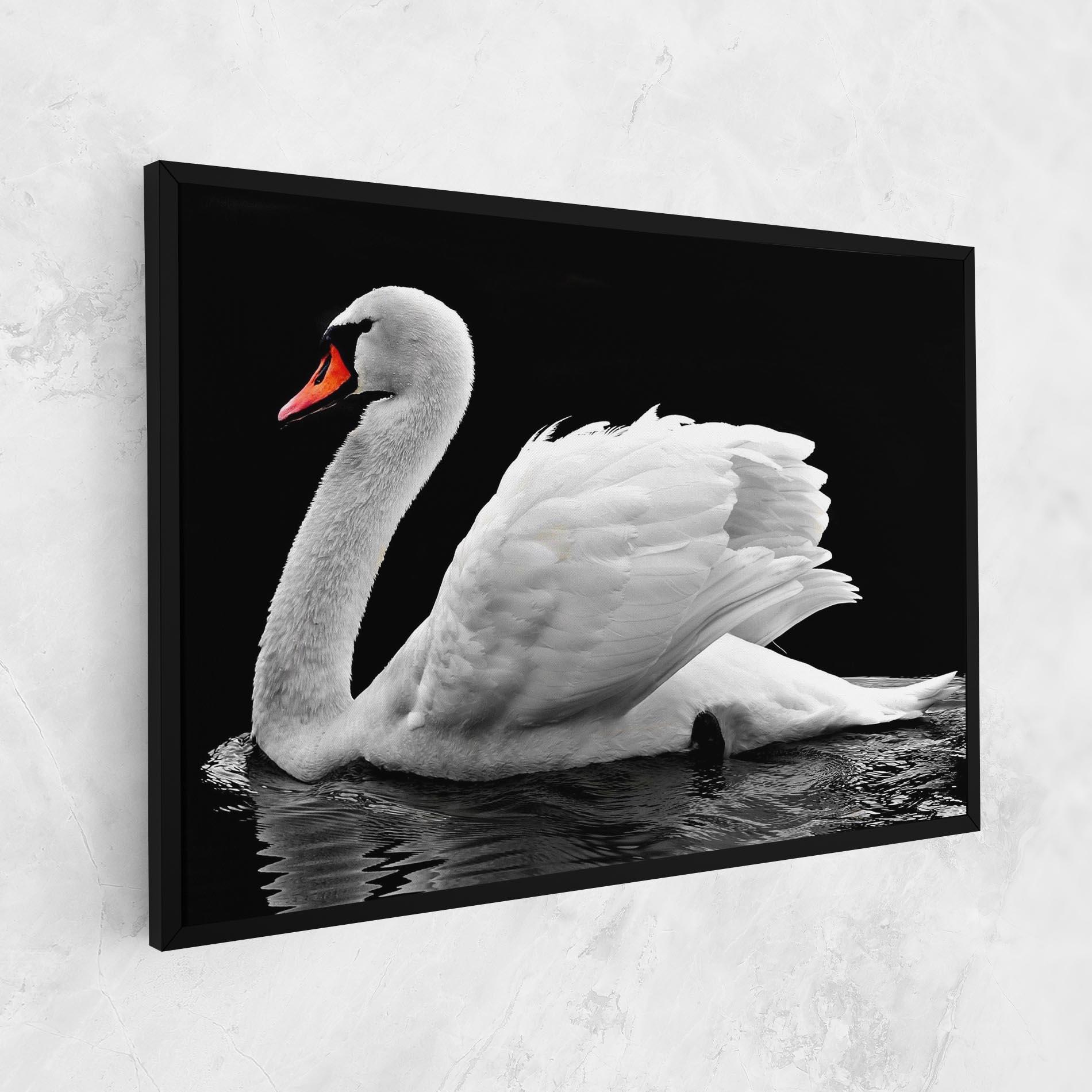 Leinwandbild Black And White Swan mockup 1