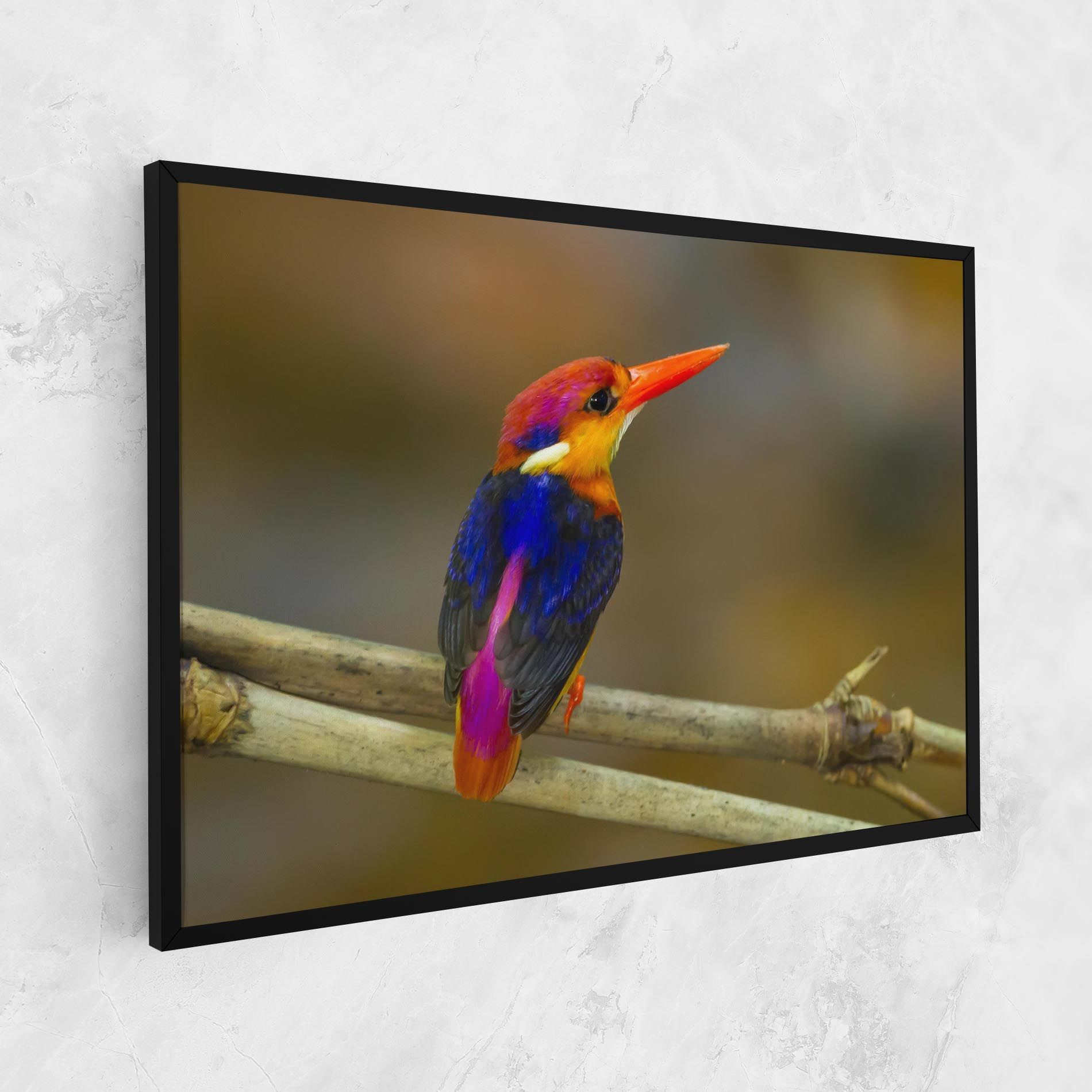 Colorful Bird mockup 1