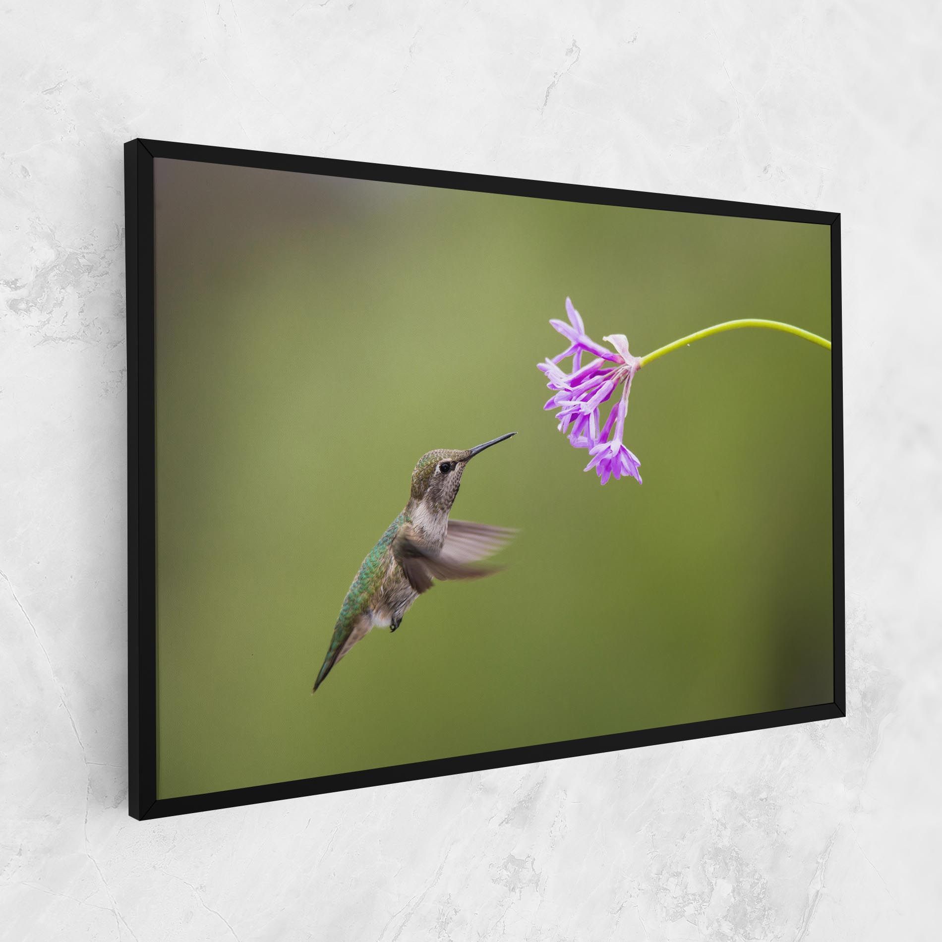 Cute Hummingbird mockup 1