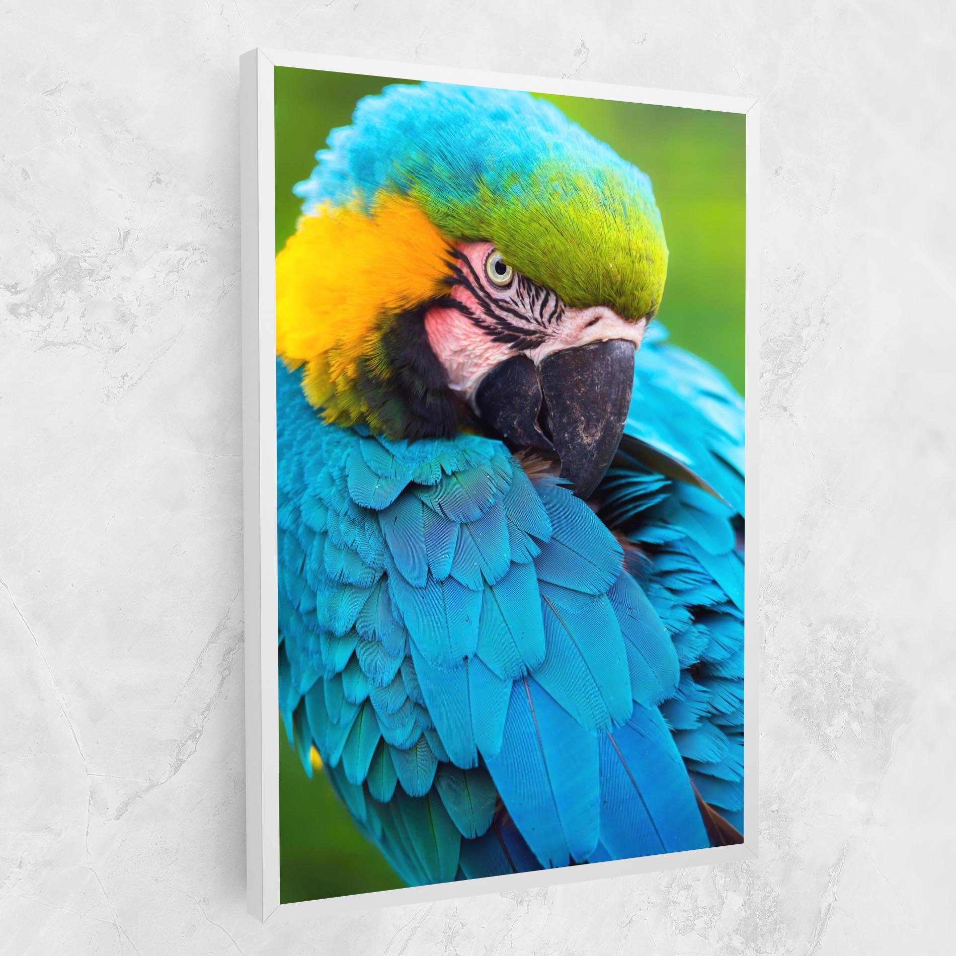 Leinwandbild Blue Parrot mockup 1