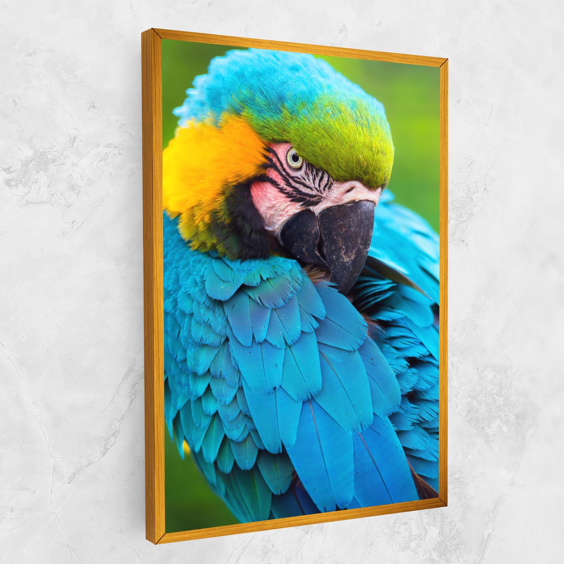 Leinwandbild Blue Parrot mockup 1
