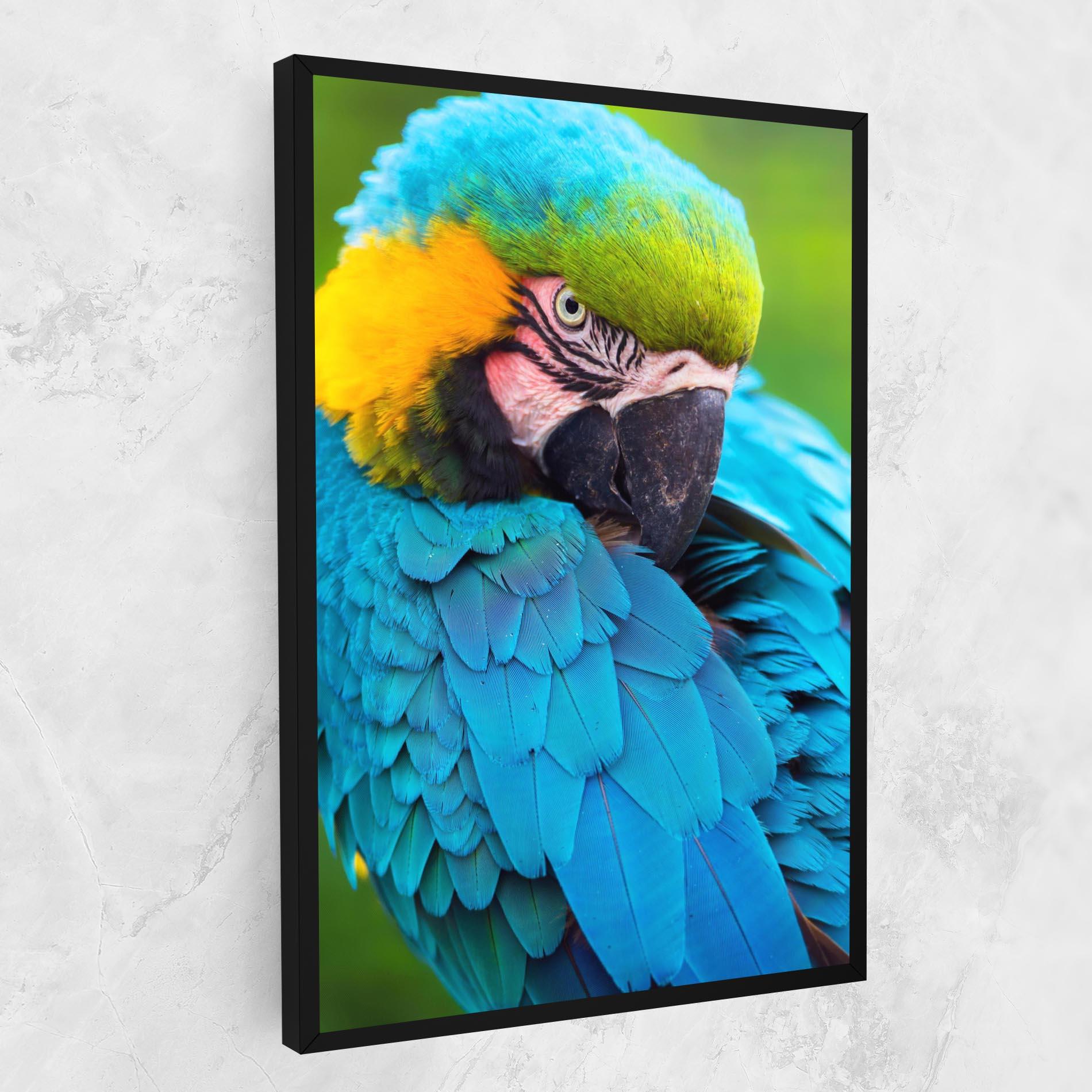Leinwandbild Blue Parrot mockup 1