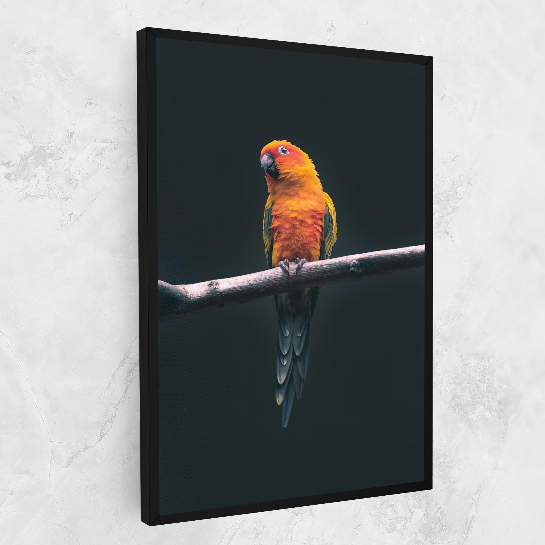 Fire Parrot mockup 1
